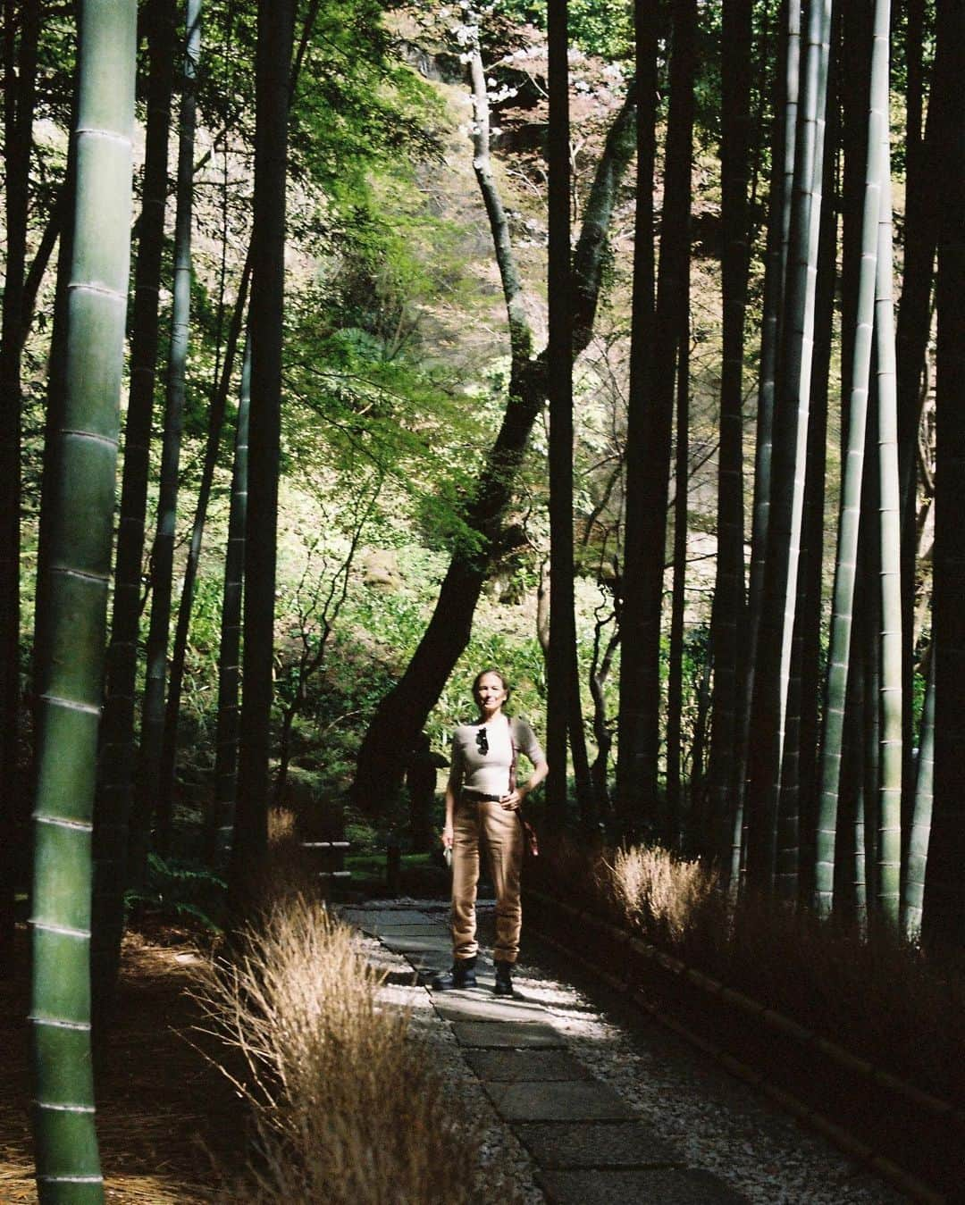 さんのインスタグラム写真 - (Instagram)「Mom came to visit me in Japan!」3月27日 2時56分 - ansel