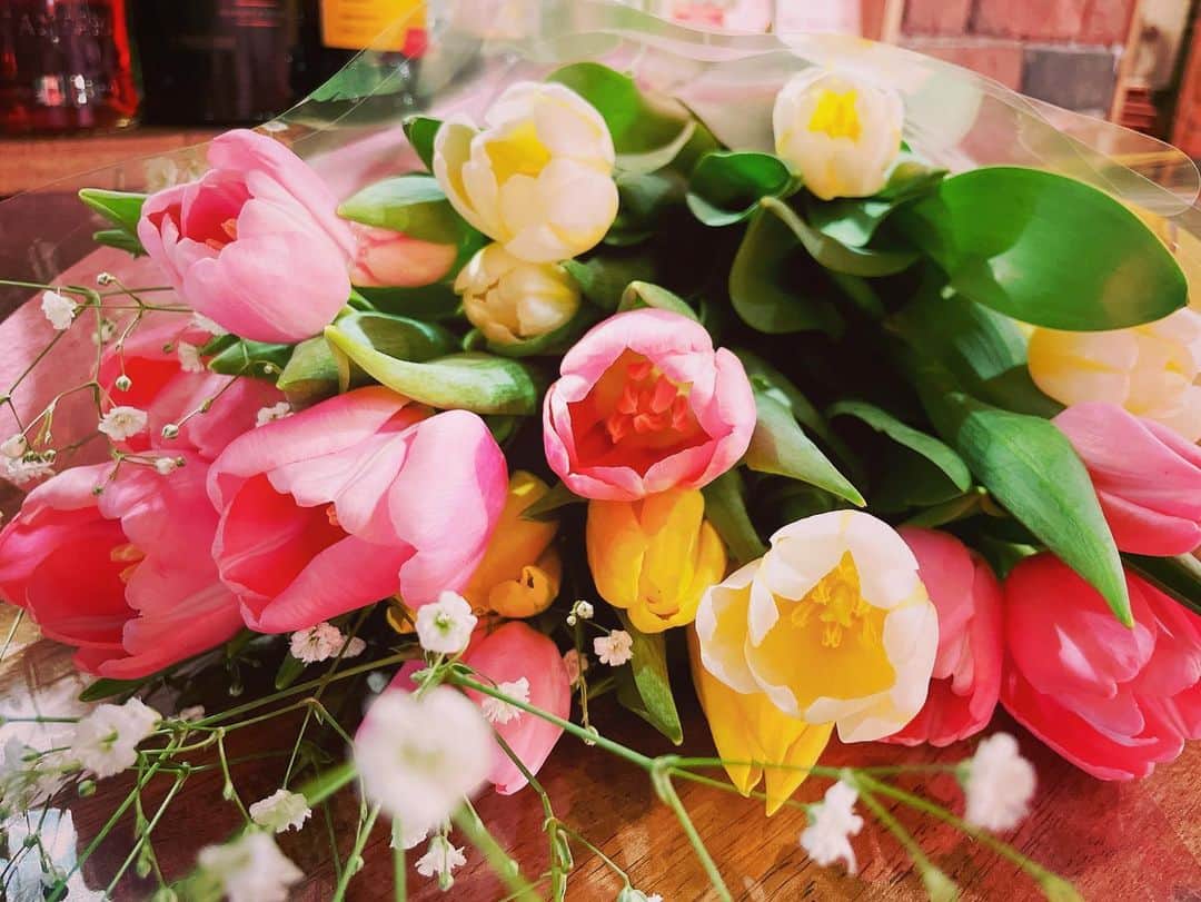 小此木まりさんのインスタグラム写真 - (小此木まりInstagram)「🌷  チューリップのお花束って初めて！  可愛い。。  お花、うれしなぁ。  ありがとうございました✨  #チューリップ #春  #みんな に #花束 #感謝  #🌷」3月27日 13時06分 - mariokonogi