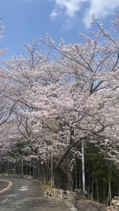 福岡女子短期大学のインスタグラム