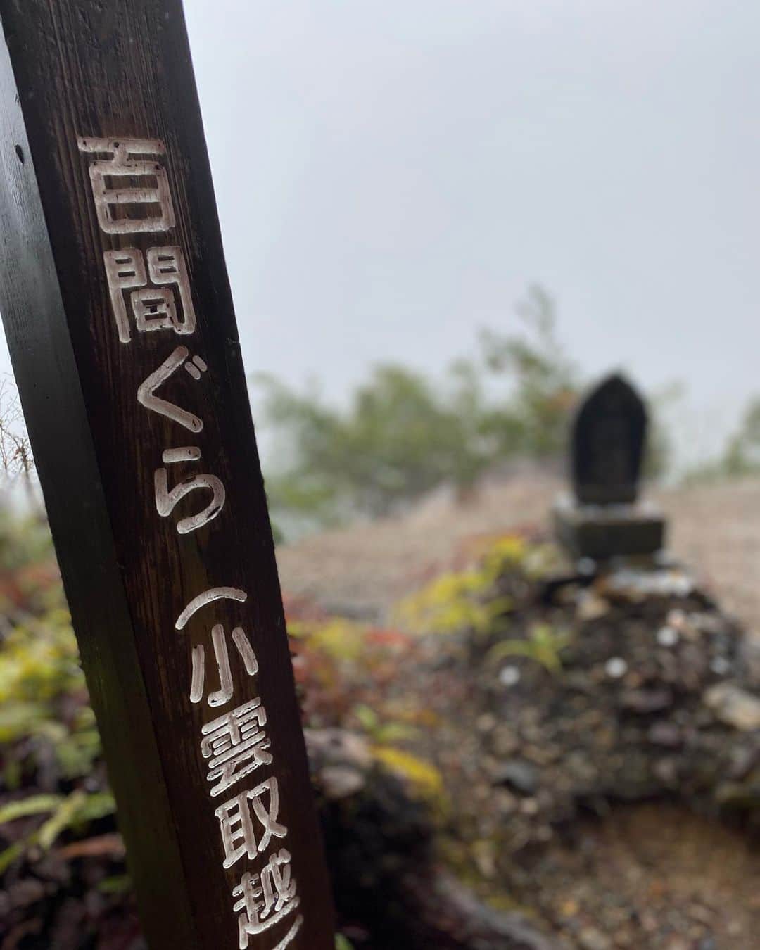 森上亜希子さんのインスタグラム写真 - (森上亜希子Instagram)「昨日は一年ぶりの「熊野古道ウォーク」イベントでした。 毎日、毎日、天気予報を確認したしていたのですが変わる事なく雨でした😭  雨にも関わらず沢山の方が参加して下さり感謝の気持ちでいっぱいです！  昨日はなかなかのハードなコースでアップダウンもあり距離もありましたが、参加して下さった皆さんは本当にお元気で健脚で私の方がヘトヘトになってしまいました。  雨の中からスタートしてびしょ濡れになるかなぁと思ったら森の中は木が生い茂っていて、思っていたほどびしょ濡れにはなりませんでした。  そして、何と言ってもこの「皆地笠」の素晴らしい事！！ 全然お水は入ってこないし、蒸れないし、視界良好で軽いしで凄い伝統工芸品だと思います！ 何とかこの伝統工芸品を残して欲しいなと思います。  今年はマスクも任意になり、久しぶりにマイナスイオンをたっぷりと吸う事が出来て、木の香りを楽しみ、雨で絶対に喜んでいる苔も美しかったです！  ゴール後は一緒に歩いてくれた都ちゃんと一緒に「みかんソフトクリーム」を頂きました。 疲れた体にはとっても沁みて最高に美味しかったです🍦  最後は熊野本宮大社の九鬼宮司にご挨拶させて頂き今年の漢字の「力」と一緒に写真を撮って頂きました。  九鬼宮司からも沢山のパワーを頂きました！ 毎年、毎年、沢山のパワーを下さる宮司。 いつも本当にありがとうございます‼️  そして雨の中、参加して下さった皆様本当にありがとうございました‼️  和歌山放送の上田さん、都ちゃん本当にありがとうございました‼️  また、来年お会い出来るのを心から楽しみにしています‼️  #熊野古道 #熊野本宮大社 #世界遺産 #worldheritage  #kumanokodo  #マイナスイオン #山ガール #tennis #テニス」3月27日 13時29分 - akiko_morigami