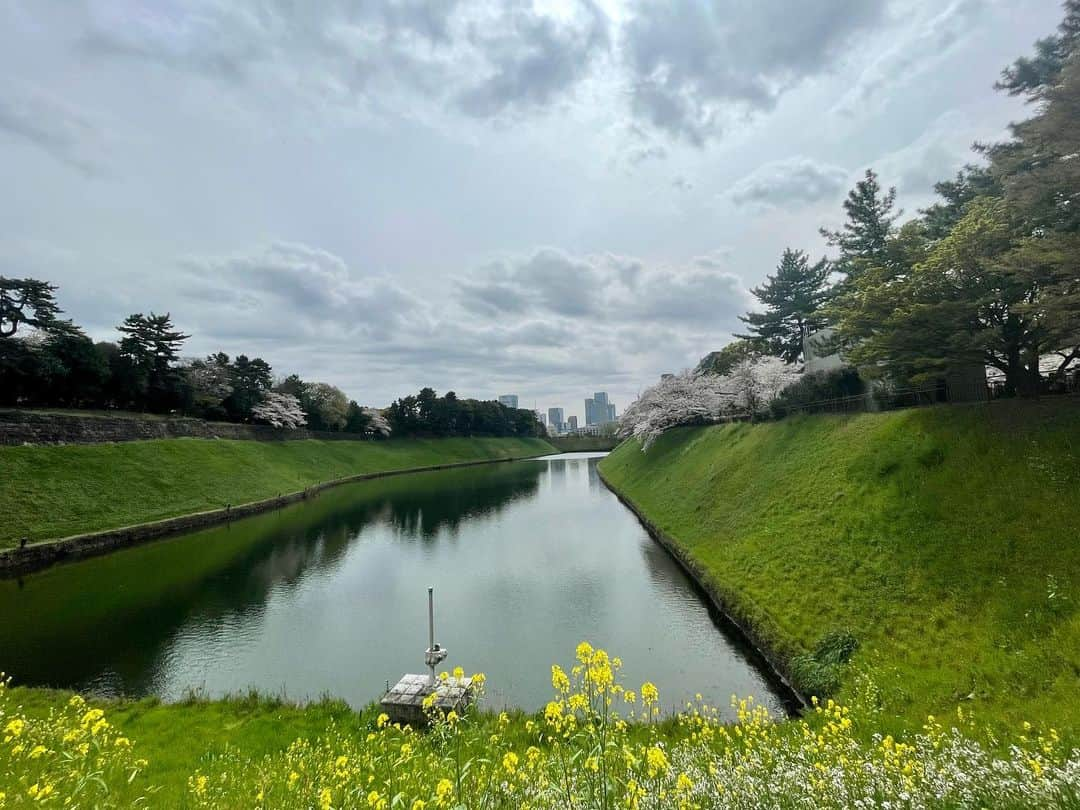 M'sブライダルさんのインスタグラム写真 - (M'sブライダルInstagram)「おすすめお花見🌸スポット❤️  人生100年時代を豊かに生き抜くための結婚相談所  〜登録会員数7万名超×昔ながらの個別紹介×最先端AIシステムで、婚活が苦手な人でも結婚出来る人に〜   ・創業23年 (帝国ホテルタワー) ・登録男性高収入(年収1,000万以上)多数  ・平均成婚期間1年以内  ・丁寧・安心・高結婚率のM’sブライダル  ・東京駅八重洲南口徒歩3分  ◉全国支店オーナー様同時募集中！   #千鳥ヶ淵 #桜 #tokyo #お花見 #東京 #日本 #japan #春 #spring #花 #flowers #love #happy #さくら #sakura #綺麗 #美しい #花見 #婚活 #恋人 #素敵 #お見合い #一期一会 #marriage #バツイチ #結婚相談 #再婚 #結婚相談所 #夢 #縁結び」3月27日 14時13分 - msbridal_pr