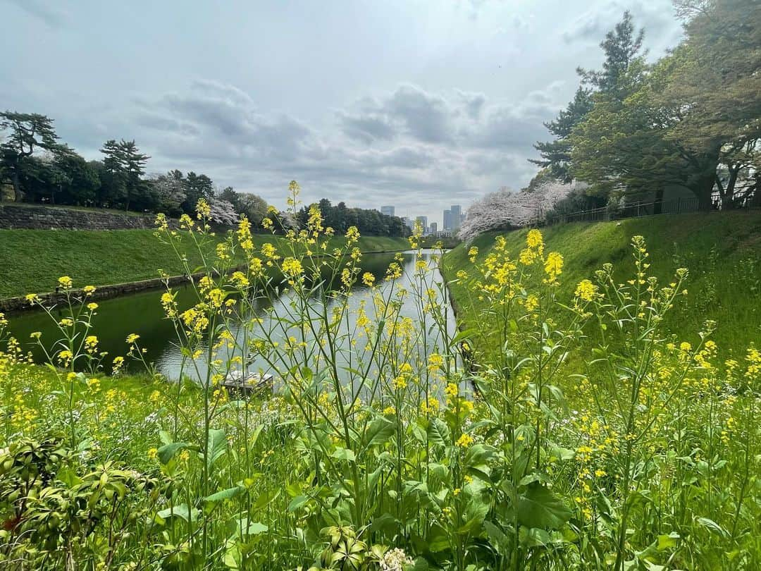 M'sブライダルさんのインスタグラム写真 - (M'sブライダルInstagram)「おすすめお花見🌸スポット❤️  人生100年時代を豊かに生き抜くための結婚相談所  〜登録会員数7万名超×昔ながらの個別紹介×最先端AIシステムで、婚活が苦手な人でも結婚出来る人に〜   ・創業23年 (帝国ホテルタワー) ・登録男性高収入(年収1,000万以上)多数  ・平均成婚期間1年以内  ・丁寧・安心・高結婚率のM’sブライダル  ・東京駅八重洲南口徒歩3分  ◉全国支店オーナー様同時募集中！   #千鳥ヶ淵 #桜 #tokyo #お花見 #東京 #日本 #japan #春 #spring #花 #flowers #love #happy #さくら #sakura #綺麗 #美しい #花見 #婚活 #恋人 #素敵 #お見合い #一期一会 #marriage #バツイチ #結婚相談 #再婚 #結婚相談所 #夢 #縁結び」3月27日 14時13分 - msbridal_pr