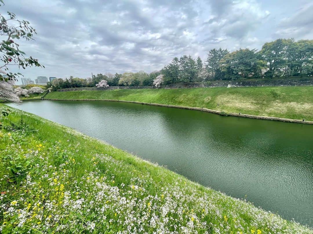 M'sブライダルさんのインスタグラム写真 - (M'sブライダルInstagram)「おすすめお花見🌸スポット❤️  人生100年時代を豊かに生き抜くための結婚相談所  〜登録会員数7万名超×昔ながらの個別紹介×最先端AIシステムで、婚活が苦手な人でも結婚出来る人に〜   ・創業23年 (帝国ホテルタワー) ・登録男性高収入(年収1,000万以上)多数  ・平均成婚期間1年以内  ・丁寧・安心・高結婚率のM’sブライダル  ・東京駅八重洲南口徒歩3分  ◉全国支店オーナー様同時募集中！   #千鳥ヶ淵 #桜 #tokyo #お花見 #東京 #日本 #japan #春 #spring #花 #flowers #love #happy #さくら #sakura #綺麗 #美しい #花見 #婚活 #恋人 #素敵 #お見合い #一期一会 #marriage #バツイチ #結婚相談 #再婚 #結婚相談所 #夢 #縁結び」3月27日 14時13分 - msbridal_pr