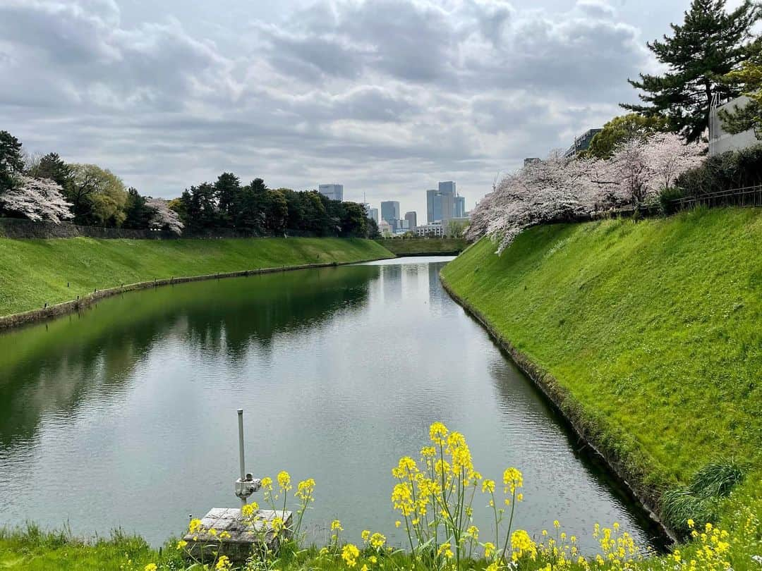 M'sブライダルさんのインスタグラム写真 - (M'sブライダルInstagram)「おすすめお花見🌸スポット❤️  人生100年時代を豊かに生き抜くための結婚相談所  〜登録会員数7万名超×昔ながらの個別紹介×最先端AIシステムで、婚活が苦手な人でも結婚出来る人に〜   ・創業23年 (帝国ホテルタワー) ・登録男性高収入(年収1,000万以上)多数  ・平均成婚期間1年以内  ・丁寧・安心・高結婚率のM’sブライダル  ・東京駅八重洲南口徒歩3分  ◉全国支店オーナー様同時募集中！   #千鳥ヶ淵 #桜 #tokyo #お花見 #東京 #日本 #japan #春 #spring #花 #flowers #love #happy #さくら #sakura #綺麗 #美しい #花見 #婚活 #恋人 #素敵 #お見合い #一期一会 #marriage #バツイチ #結婚相談 #再婚 #結婚相談所 #夢 #縁結び」3月27日 14時13分 - msbridal_pr