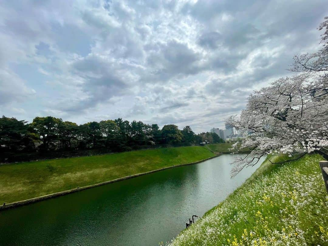 M'sブライダルさんのインスタグラム写真 - (M'sブライダルInstagram)「おすすめお花見🌸スポット❤️  人生100年時代を豊かに生き抜くための結婚相談所  〜登録会員数7万名超×昔ながらの個別紹介×最先端AIシステムで、婚活が苦手な人でも結婚出来る人に〜   ・創業23年 (帝国ホテルタワー) ・登録男性高収入(年収1,000万以上)多数  ・平均成婚期間1年以内  ・丁寧・安心・高結婚率のM’sブライダル  ・東京駅八重洲南口徒歩3分  ◉全国支店オーナー様同時募集中！   #千鳥ヶ淵 #桜 #tokyo #お花見 #東京 #日本 #japan #春 #spring #花 #flowers #love #happy #さくら #sakura #綺麗 #美しい #花見 #婚活 #恋人 #素敵 #お見合い #一期一会 #marriage #バツイチ #結婚相談 #再婚 #結婚相談所 #夢 #縁結び」3月27日 14時13分 - msbridal_pr