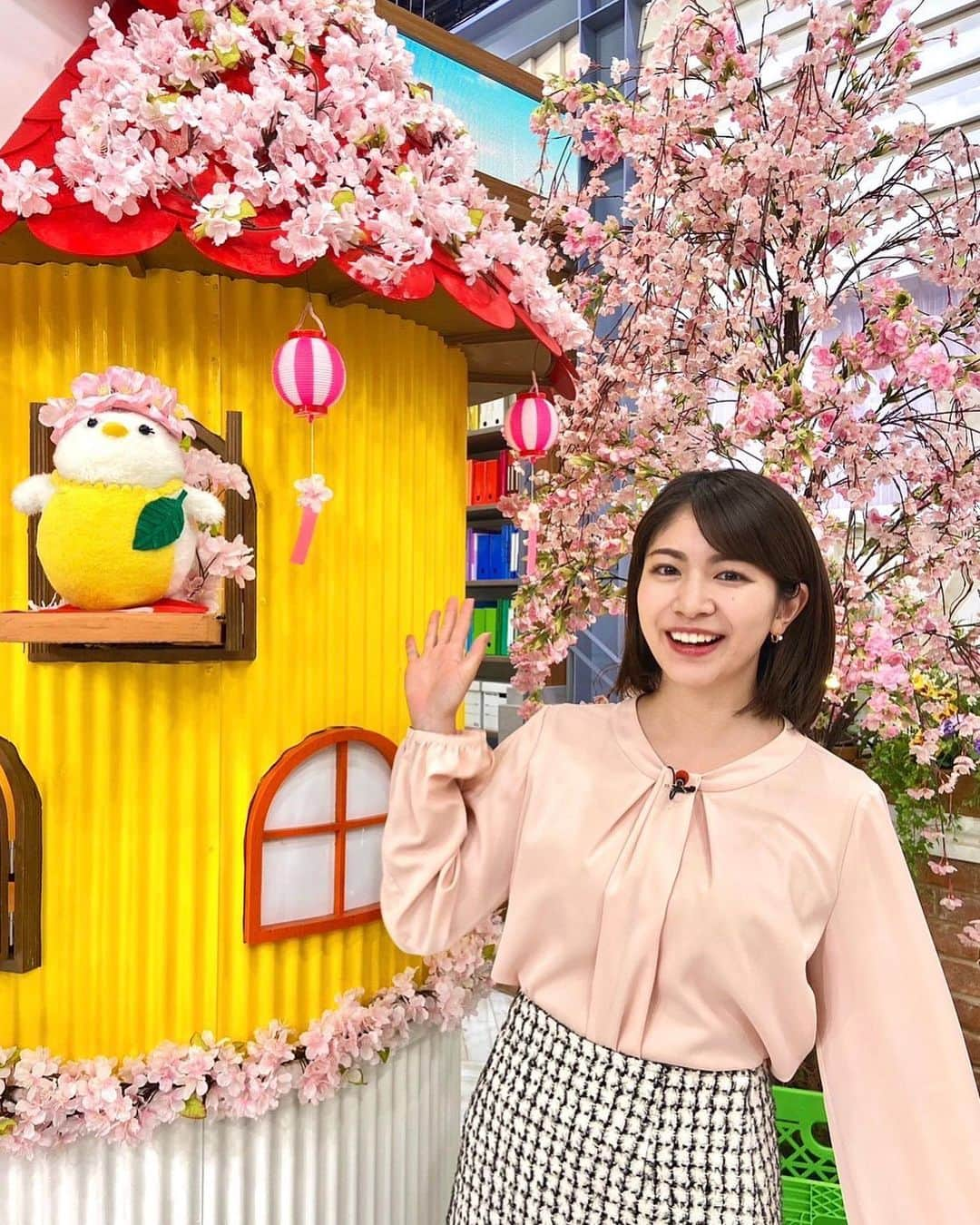 千葉真由佳のインスタグラム：「【今週も頑張りましょう〜🎵】 スタジオは先週から お花見モード🌸  パパエナガは... お団子になっています🍡😌  そして7時のうたで舞った桜吹雪が １枚だけ落ちていたので ライブの銀テープを拾った気持ちで持ってきました😉 形が可愛い〜💓 おにぎり包んでる政宗ハンカチになぜか載せる←  朝晩の寒さには気をつけて 今週も頑張りましょうね！！  ●3/24（金）🌸 SHOO・LA・RUE（トップス） @shoolarue_official BE NEAT（スカート） @BENEAT0314 mimi33（ピアス） @mimi33_official  ●3/27（月）💙 ブラウス　@ingnistore スカート　@tocco_closet ピアス　　@ete_official  #TBS#THETIME' #TBSスパークル#キャスター #フリーアナウンサー#アナウンサー #アナウンサー衣装 #千葉真由佳 #春コーデ#コーデ記録 #152cmコーデ#152cm #大人ボブ#ショートヘア #instalike#fashion#photography」