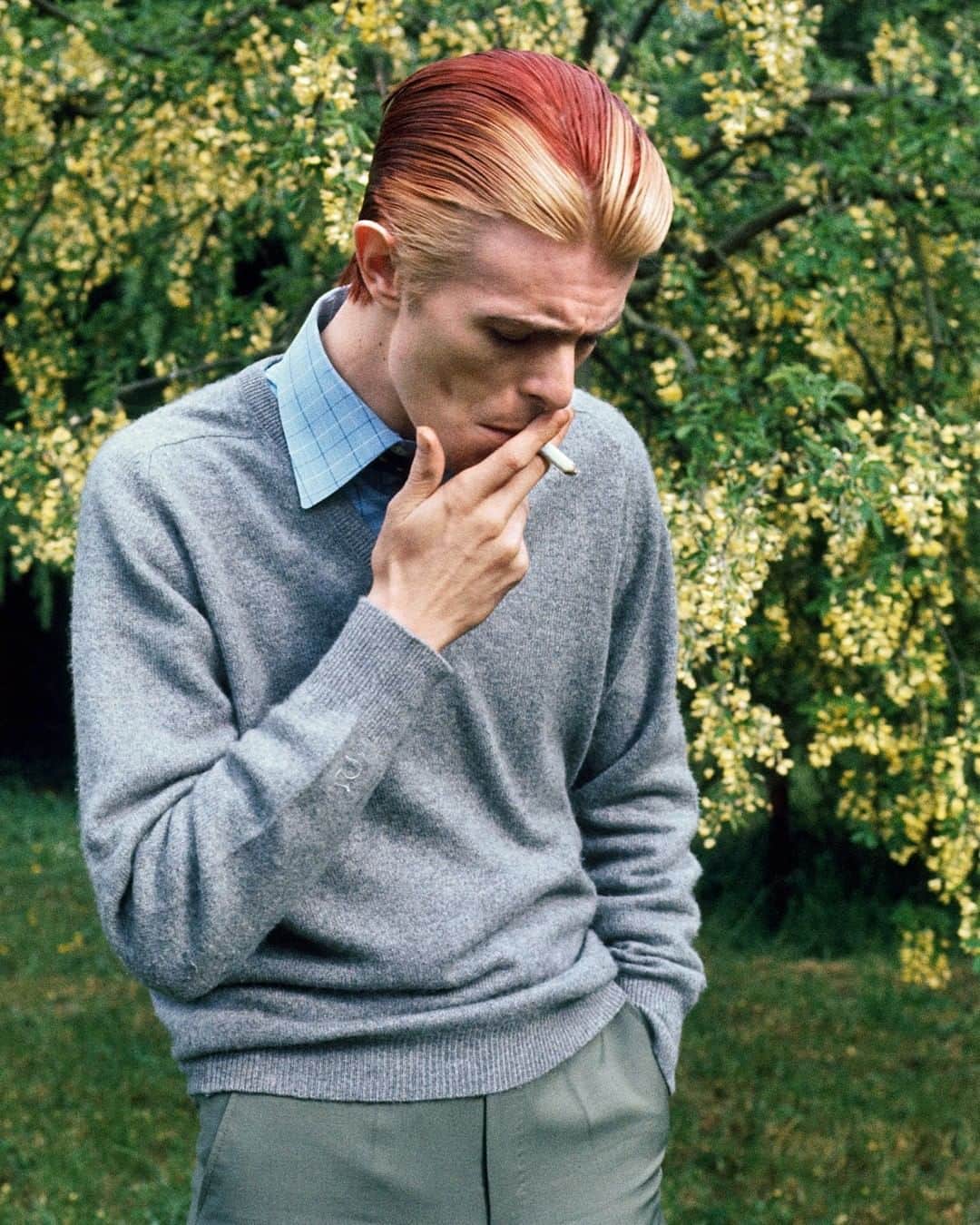 デヴィッド・ボウイさんのインスタグラム写真 - (デヴィッド・ボウイInstagram)「“Come out of the garden, baby...”  David Bowie pictured in a London garden by Andrew Kent, in town for his Wembley shows in 1976.  #RandomBowieReturns #BowieAndrewKent #Bowie1976 #BowieThinWhiteDuke」3月27日 8時15分 - davidbowie