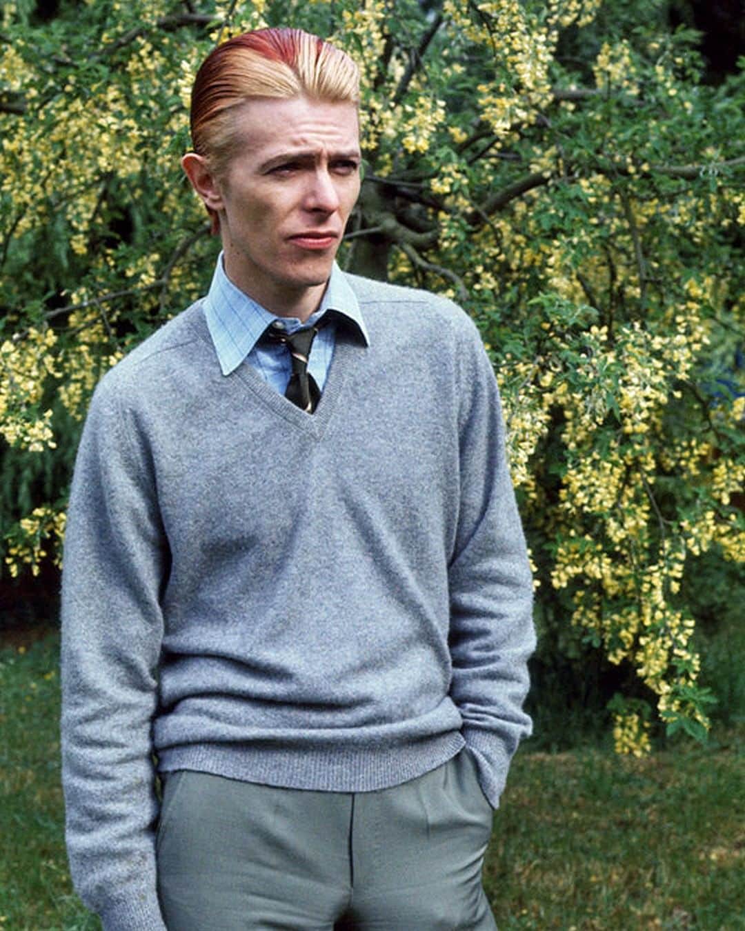 デヴィッド・ボウイさんのインスタグラム写真 - (デヴィッド・ボウイInstagram)「“Come out of the garden, baby...”  David Bowie pictured in a London garden by Andrew Kent, in town for his Wembley shows in 1976.  #RandomBowieReturns #BowieAndrewKent #Bowie1976 #BowieThinWhiteDuke」3月27日 8時15分 - davidbowie
