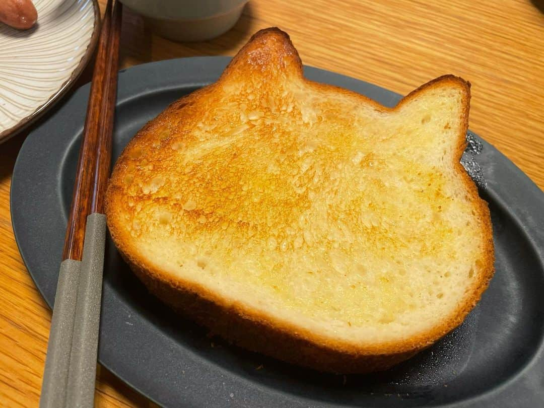 諸岡なほ子のインスタグラム：「白猫から茶トラ気味にこんがり。 #ねこねこ食パン、いただきにゃす🐈‍⬛  形がねこというだけで私的には3倍くらい評価あがっちゃうけど、パンとしてもちゃんとおいしいにゃ🐈」