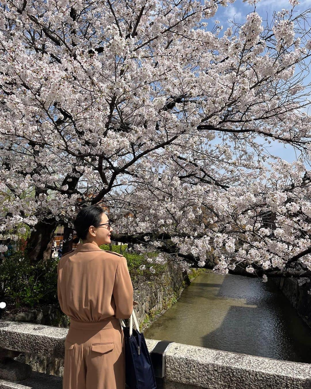 パク・チニさんのインスタグラム写真 - (パク・チニInstagram)「#이른 #꽃구경 #🌸 #감사합니다」3月27日 14時45分 - eco_jini