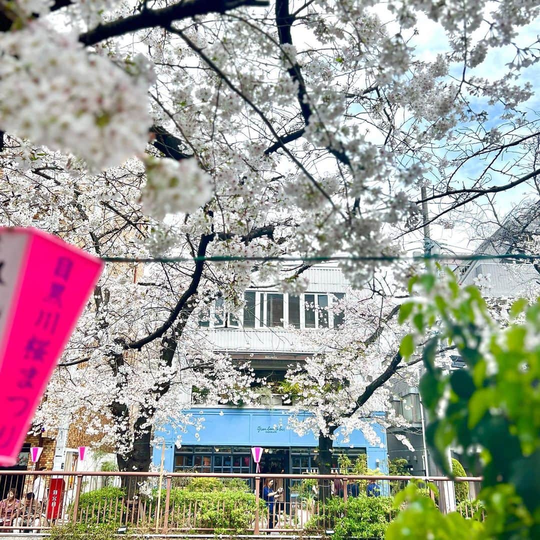 green bean to bar CHOCOLATEさんのインスタグラム写真 - (green bean to bar CHOCOLATEInstagram)「本日の中目黒は花曇り。こんな日は、目黒川の満開の桜を眺めながら、ホットチョコレートを片手にのんびり街歩き。春ならではの贅沢な時間ですね🌸  #greenbeantobarchocolate #ビーントゥバーチョコレート #中目黒カフェ #nakameguro #目黒川沿い #お花見スイーツ」3月27日 10時52分 - greenbeantobar_chocolate