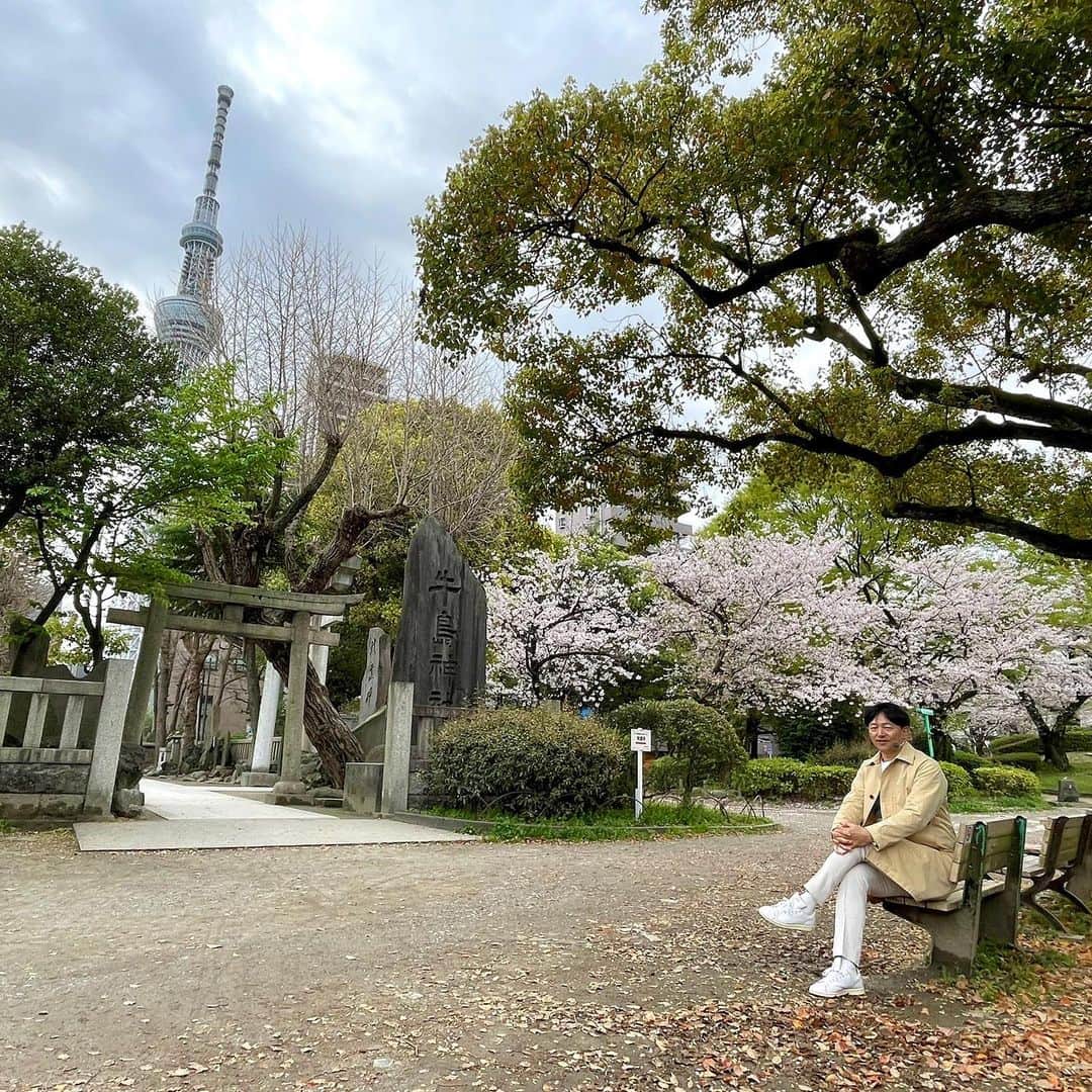 依田司さんのインスタグラム写真 - (依田司Instagram)「3月27日（月） 東京都墨田区の「隅田公園」から。週末の雨が心配でしたが、持ち堪えてくれていました。 ここ隅田川の土手「墨堤」には、およそ300本、１ｋｍにもわたりソメイヨシノが植えられています。 元は、徳川八代将軍・吉宗が、庶民もお花見を行えるようにと植えたのが始まりだそうです。その後公園内にも多くの桜が植えられ、現代でも多くの人がこの時期、満開の桜を一目見ようといらっしゃいます。 さらに公園内では、隅田のもう一つの名所「スカイツリー」と共に桜を撮影できる場所もあります。また、3年ぶりにライトアップも復活。朝から夜まで楽しめるお花見スポットです。見頃は、あさって頃まで。  #隅田公園 #DoCLASSE #ドゥクラッセ #依田さん #依田司 #お天気検定 #テレビ朝日 #グッドモーニング #サタデーステーション #気象予報士 #お天気キャスター #森林インストラクター #グリーンセイバーアドバンス #プロジェクトワイルド #IPCC伝導者 #japan #japantrip #japantravel #unknownjapan #japanAdvenそture #japanlife #lifeinjapan #instagramjapan #instajapan #療癒 #ilovejapan #weather #weathercaster #weatherforecast」3月27日 11時02分 - tsukasa_yoda