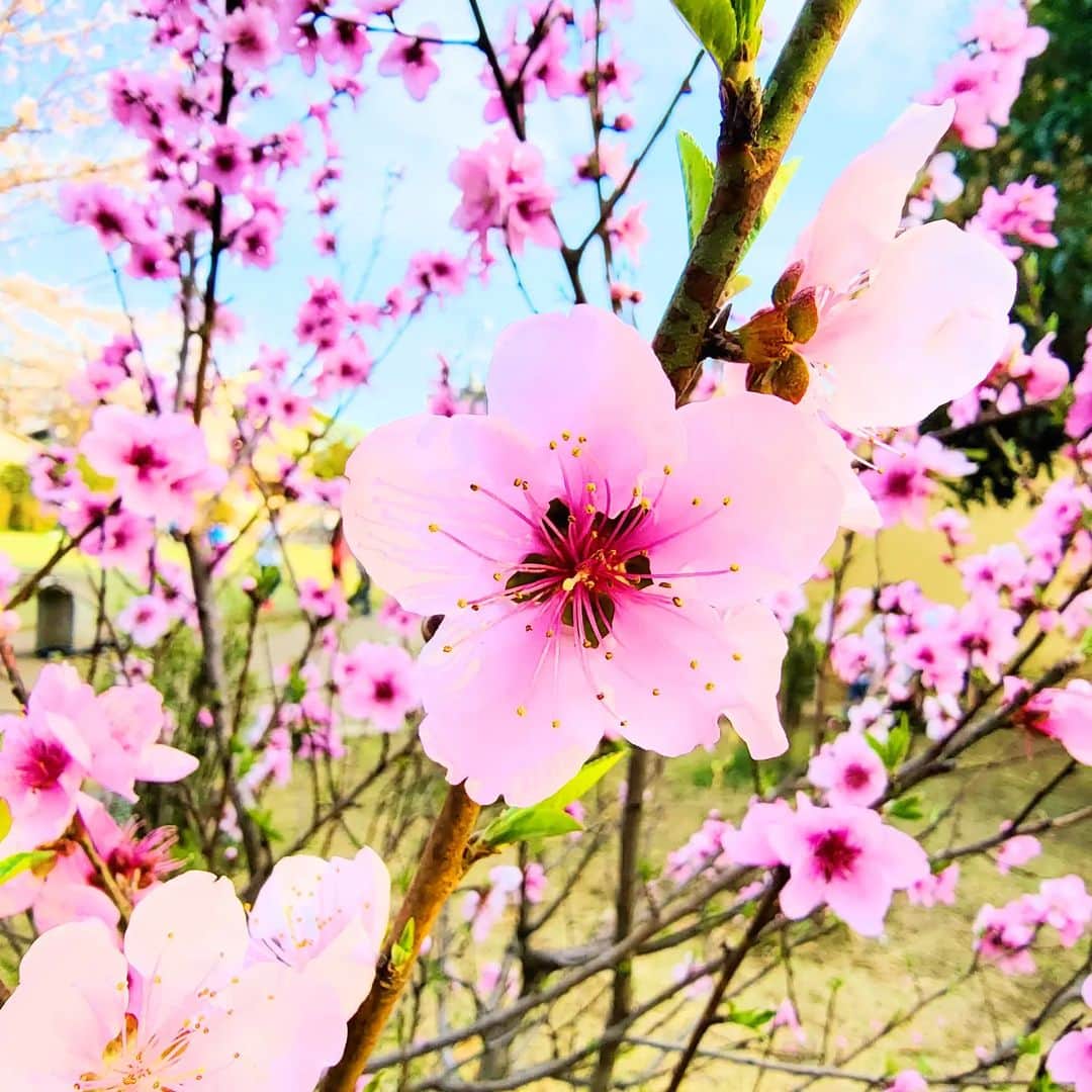 永井利光さんのインスタグラム (永井利光toshi_nagai)