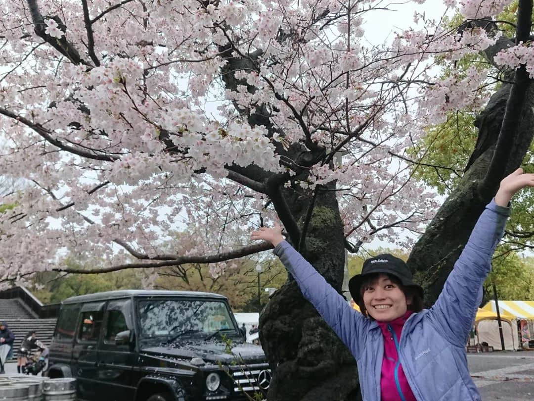 桜花さんのインスタグラム写真 - (桜花Instagram)「桜満開🌸🌸🌸  雨の桜も風情があってなかなか素敵🍀  イベント出店の時はまた変わってきますが、、、！  25、26日。 代々木公園で行われた春風イベントで ルーローハン屋さんのお手伝いをしました🐱🌷  晴れと雨ではやはりお客さんの数もかなり変わってきますので、晴れを願うばかりでした、、！  途中から雨止んで本当によかったです🍀  #桜  #フェス #ルーローハン」3月27日 11時40分 - mountainohka