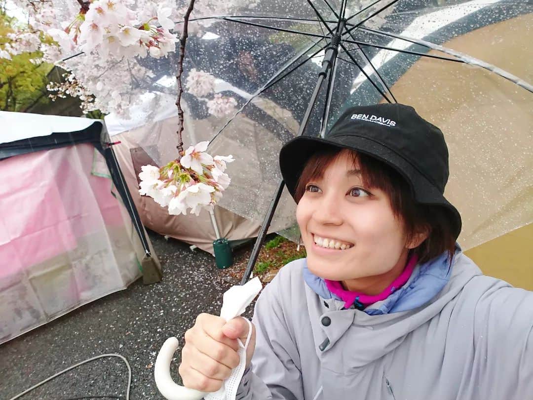 桜花のインスタグラム：「桜満開🌸🌸🌸  雨の桜も風情があってなかなか素敵🍀  イベント出店の時はまた変わってきますが、、、！  25、26日。 代々木公園で行われた春風イベントで ルーローハン屋さんのお手伝いをしました🐱🌷  晴れと雨ではやはりお客さんの数もかなり変わってきますので、晴れを願うばかりでした、、！  途中から雨止んで本当によかったです🍀  #桜  #フェス #ルーローハン」