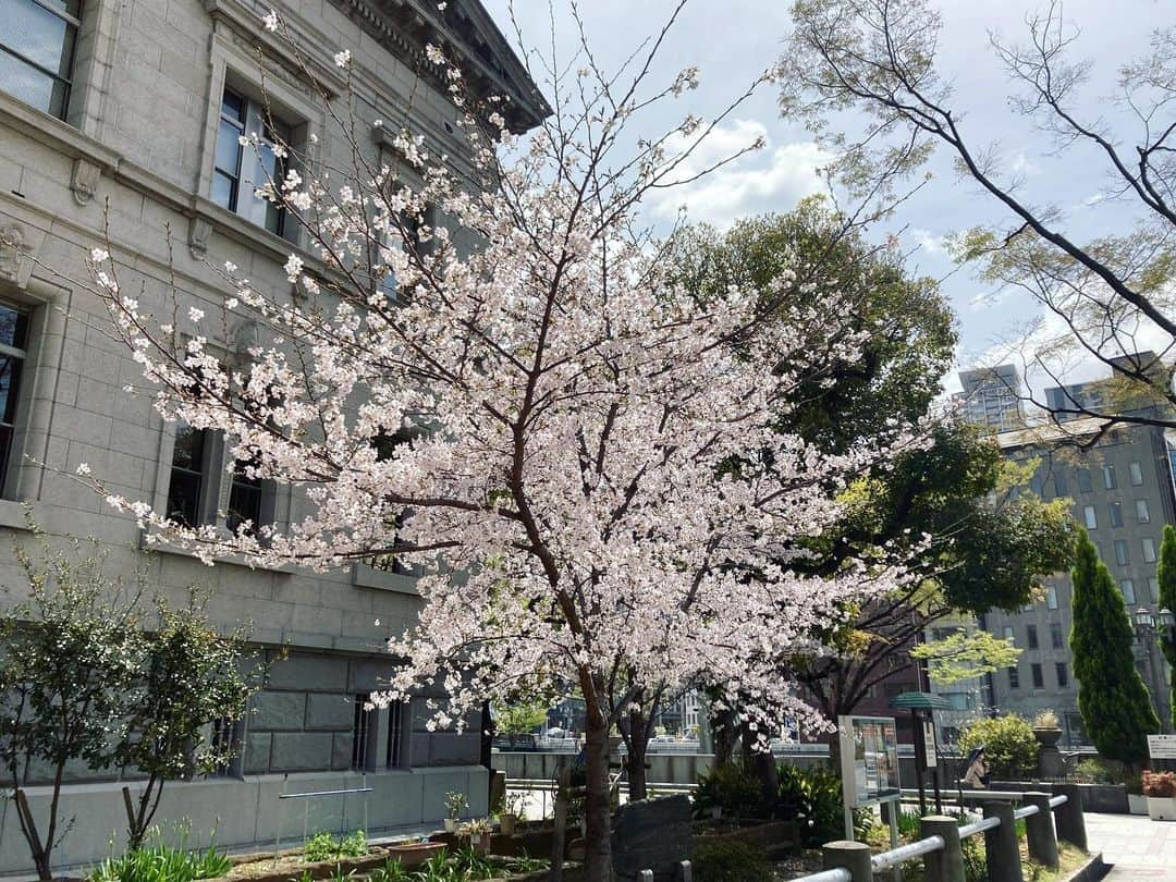 桂春雨のインスタグラム