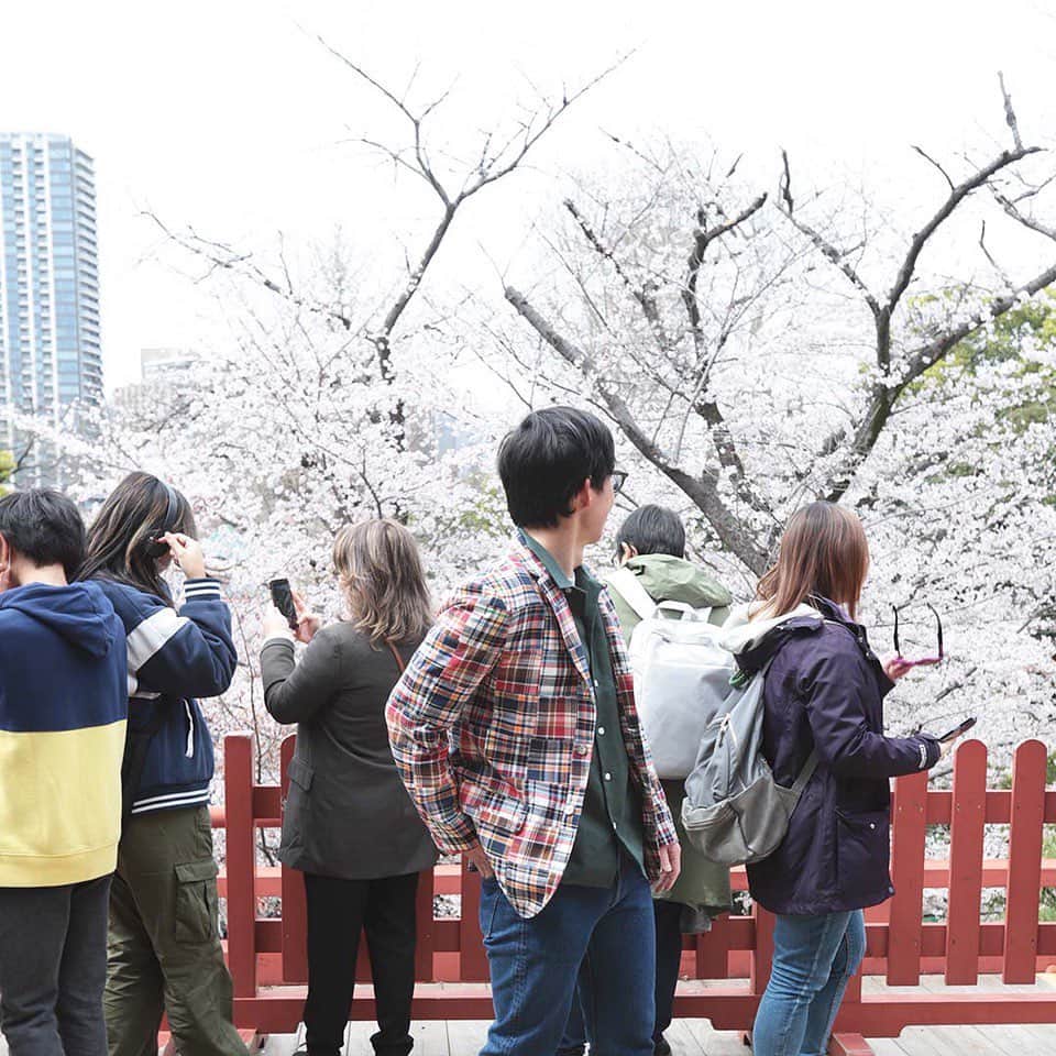 Freeport-ueno/上野さんのインスタグラム写真 - (Freeport-ueno/上野Instagram)「桜とマドラス  本日3/27 の上野 曇　気温14℃  上野恩賜公園　桜満開🌸  お花見には絶好のコンディションです。  ご覧のように人がかなり多いですが ブルーシートを広げ寝そべっている方、輪になってお酒を楽しまれている方  皆様、心地良さそうでございます。  桜も素敵ですが 私はこちらのジャケットに釘付け  この人だかりでも 決して浮かず、しかし沈まず  自然なアクセントとして コーディネートしていただける soutiencolの IVY jacket マドラスパッチワーク  皆様も臆せず  お試し下さいませ。  #soutiencol#IVY#jacket#blazer  #上野#桜#上野恩賜公園#上野セレクトショップ   #Freeport」3月27日 12時36分 - freeportueno