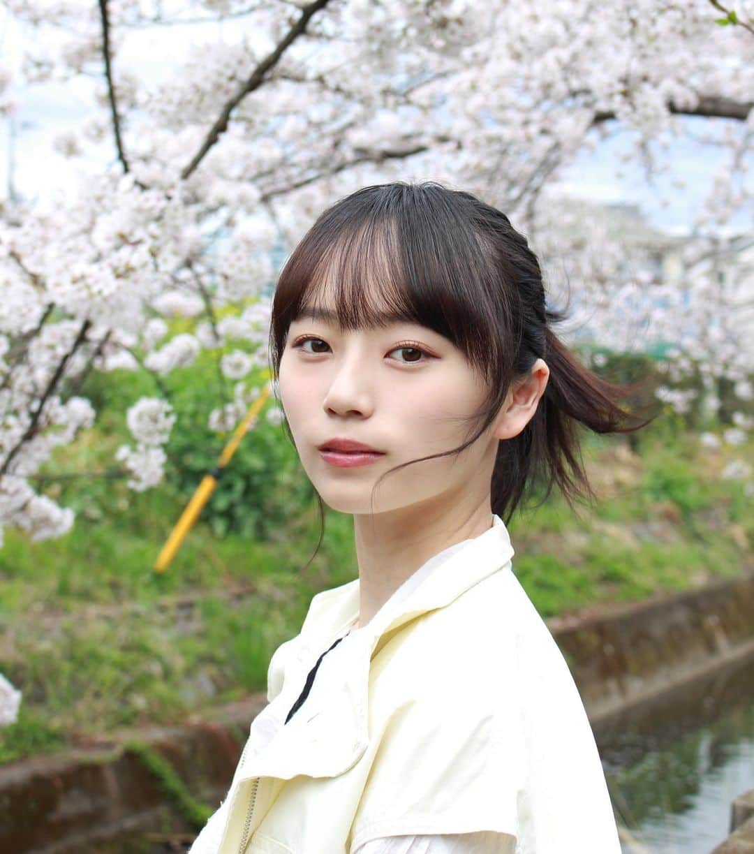 有働優菜さんのインスタグラム写真 - (有働優菜Instagram)「桜の日」3月27日 22時25分 - yuna_udo_