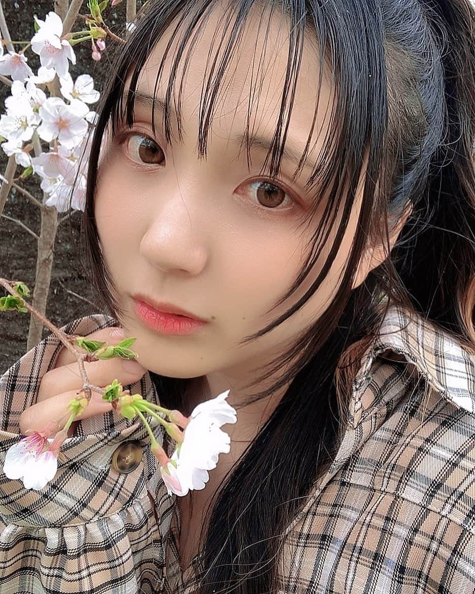 空見ゆきのインスタグラム：「桜咲いたね🌸 服とか髪とかにいっぱい花粉ついちゃった😂」