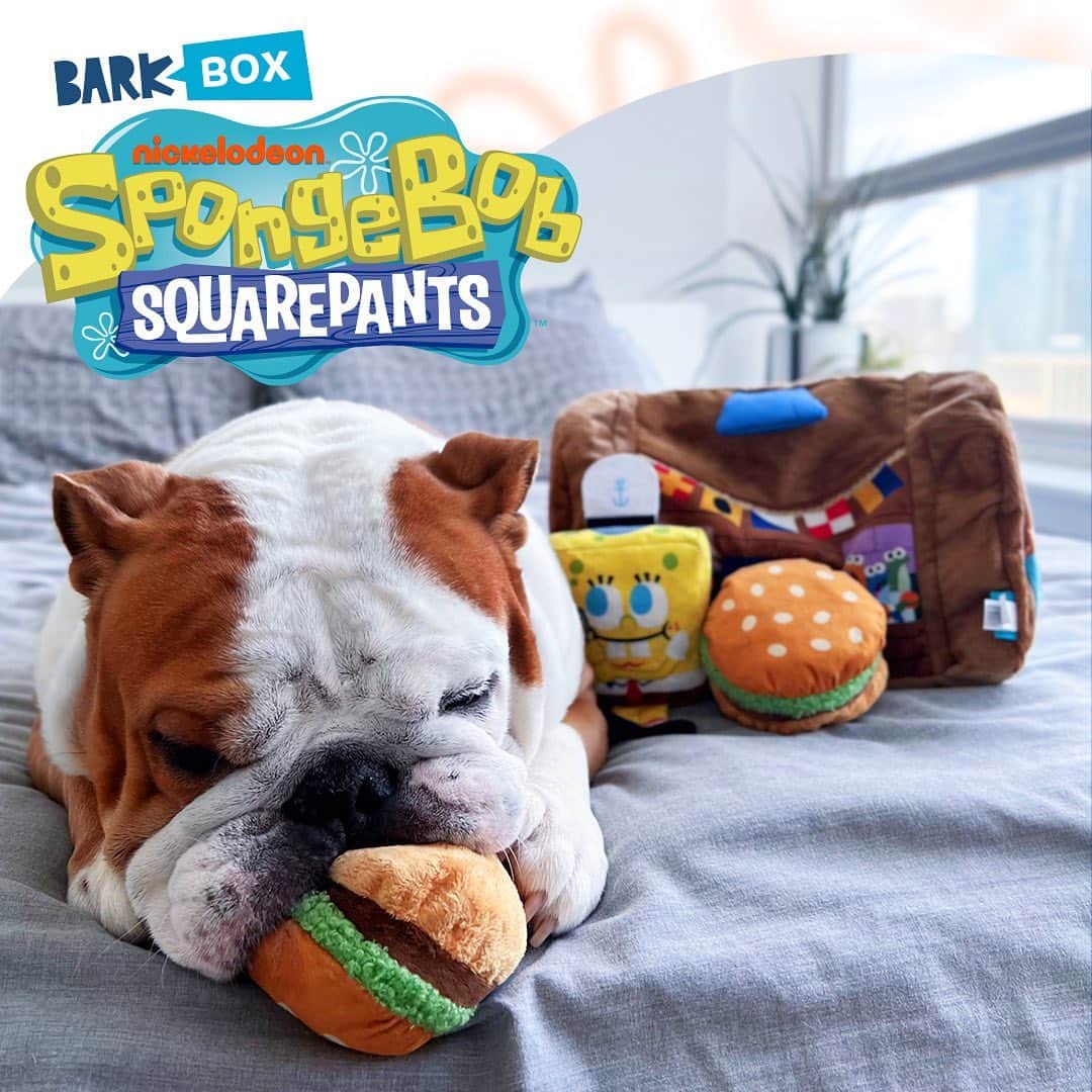BarkBoxのインスタグラム：「your goofy goober deserves this 💛  Shop @barkbox now!」