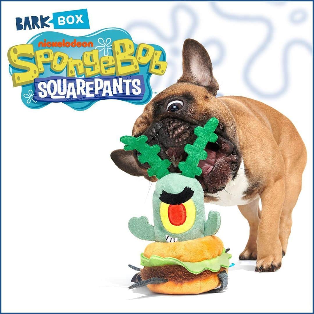 BarkBoxさんのインスタグラム写真 - (BarkBoxInstagram)「your goofy goober deserves this 💛  Shop @barkbox now!」3月27日 23時01分 - barkbox