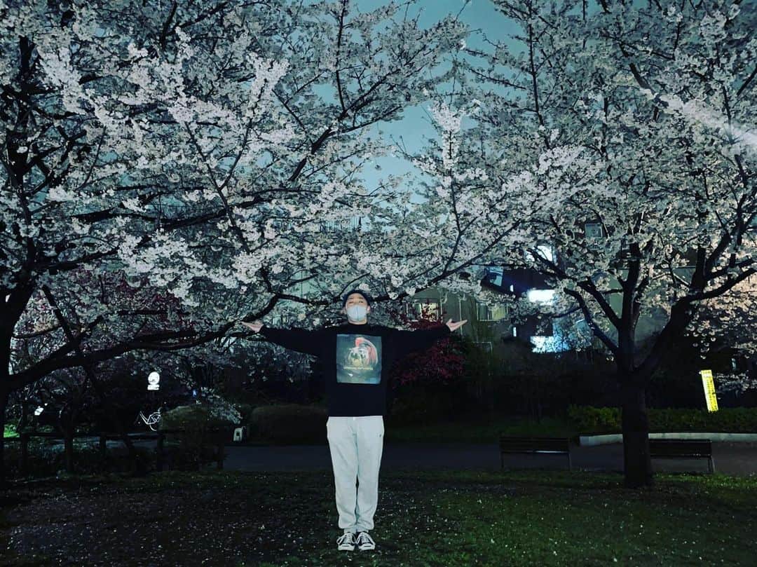 井元英志さんのインスタグラム写真 - (井元英志Instagram)「THE SECOND散りました…🌸 でも桜は満開です🥹 見てあげてください… #THESECOND #やーん😭」3月27日 23時36分 - impossibleinomoto