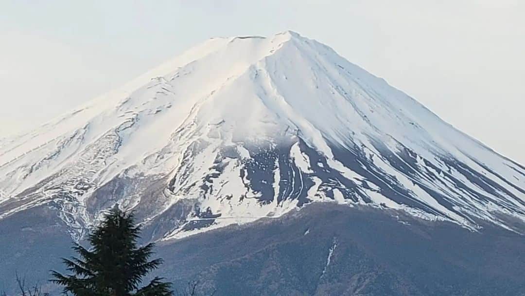 綾小路きみまろさんのインスタグラム写真 - (綾小路きみまろInstagram)「綾小路きみまろです。 今朝の #河口湖 #富士山 #きみまろ散歩  少し暖かくなりましたが 本格的な春はまだですね。 春よ、来い～🎵 早く、来い～🎵 #綾小路きみまろ」3月27日 23時40分 - ayanokojikimimaro_official