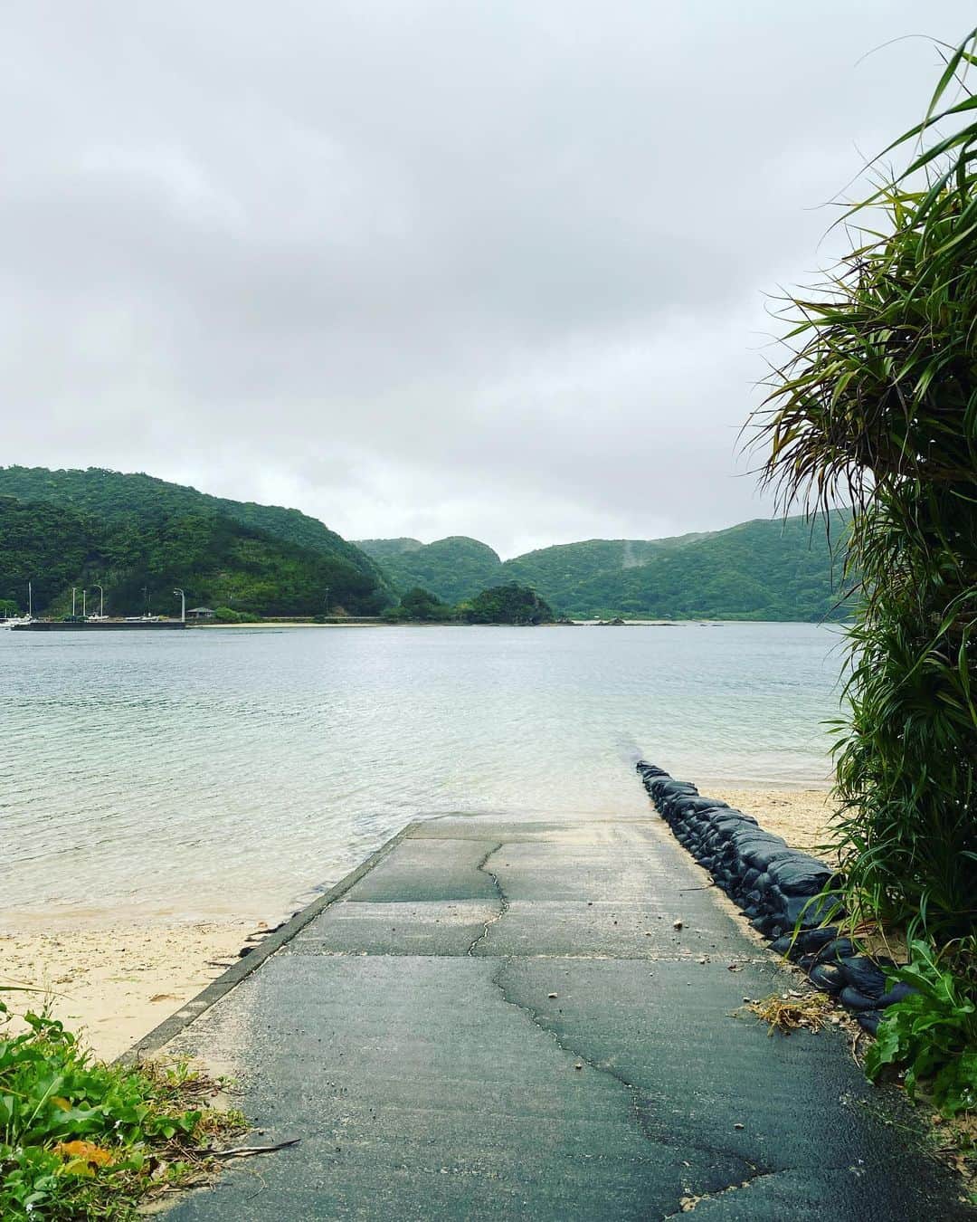 三谷晶子のインスタグラム：「木陰は優しく、道はいつでも開かれている。  The shade is gentle and the road is always open.  #加計呂麻島 #奄美群島 #island  #islandlife #visitamami  #visitjapan」