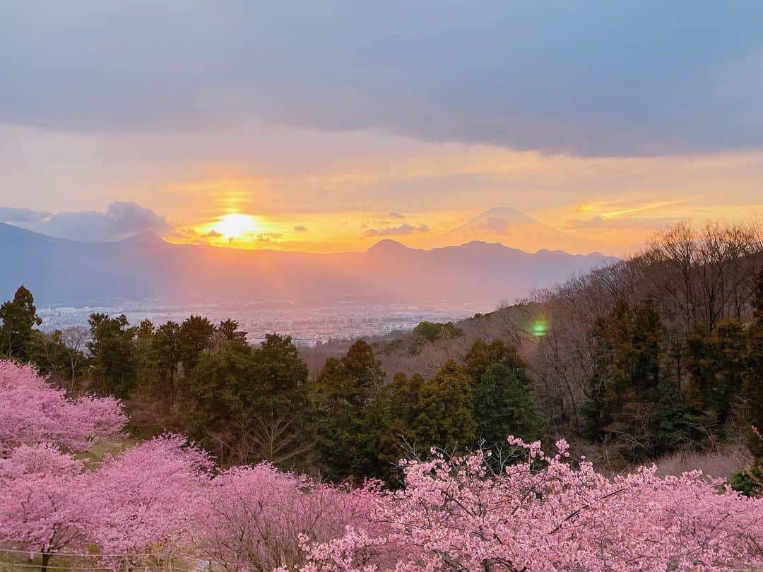 白石陽菜（桜井えりな）のインスタグラム：「先月末にロケで見た桜🌸 . 富士山が遠くに写ってるんだけど、見えるかな？？」