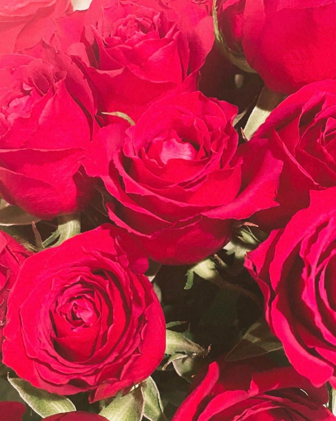 のインスタグラム：「お誕生日にマネージャーさんからお花を頂きました☺️ ありがとうございます！  前までは桜🌸だったんだけど ちょっと大人になったから薔薇なのかな？🌹  素敵な大人に、女優になれる様に 頑張らなくちゃね」