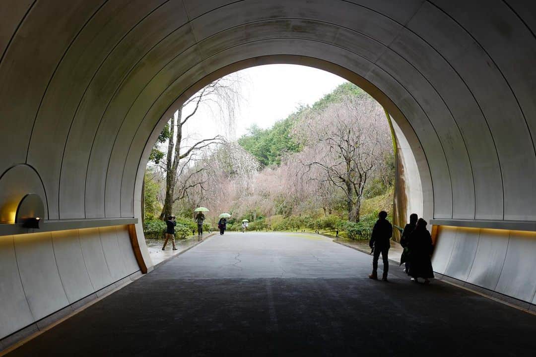 行方 久子 Hisako Namekataさんのインスタグラム写真 - (行方 久子 Hisako NamekataInstagram)「. トンネルの向こうは満開に見えて、まだツボミ。 満開になったら、どうなっちゃうんだろう。  「美の祈り」素晴らしい展示でした。 押し寄せる余韻に浸りながら、お仕事します。」3月27日 16時26分 - hisakonamekata