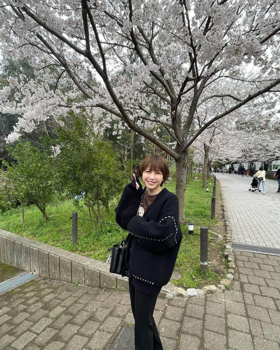 彩木咲良さんのインスタグラム写真 - (彩木咲良Instagram)「🌸 桜が咲いてたよ」3月27日 16時28分 - ayakisakura_official