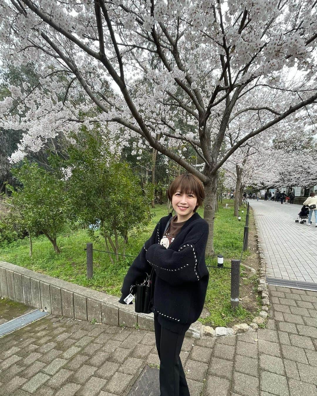 彩木咲良さんのインスタグラム写真 - (彩木咲良Instagram)「🌸 桜が咲いてたよ」3月27日 16時28分 - ayakisakura_official