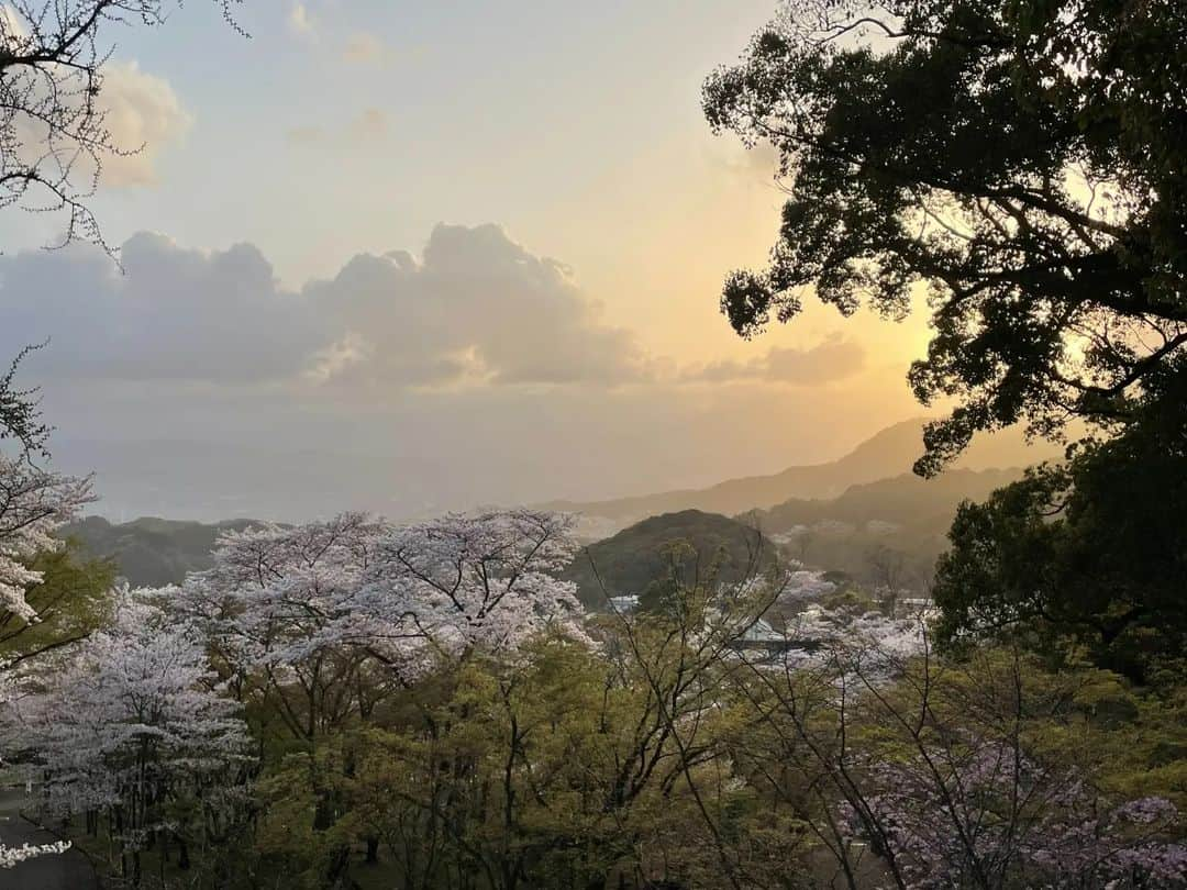 和婚スタイルさんのインスタグラム写真 - (和婚スタイルInstagram)「. 竈門神社の夜の挙式 「神灯り挙式」  夕暮れと桜  すごく素敵です✨ 福岡では桜が満開🌸 . http://wakon-style.jp ---------------------------- #竈門神社 #神灯り挙式 #神前式　 #仏前式 #神社婚 #白無垢 #色打掛 #綿帽子 #和婚スタイル #紋付袴 #引振袖 #花嫁小物 #和装ヘア #和装髪飾り #和装 #会場装花 #卓上装花 #装花 #shintowedding #japaneseweddingkimono #weddingstagram #ウェディングプランナー #ベストアニバーサリー #少人数結婚式 #福岡結婚式 #東京結婚式 #大阪結婚式 #名古屋結婚式 #広島結婚式 #仙台結婚式」3月27日 16時48分 - wakonstyle