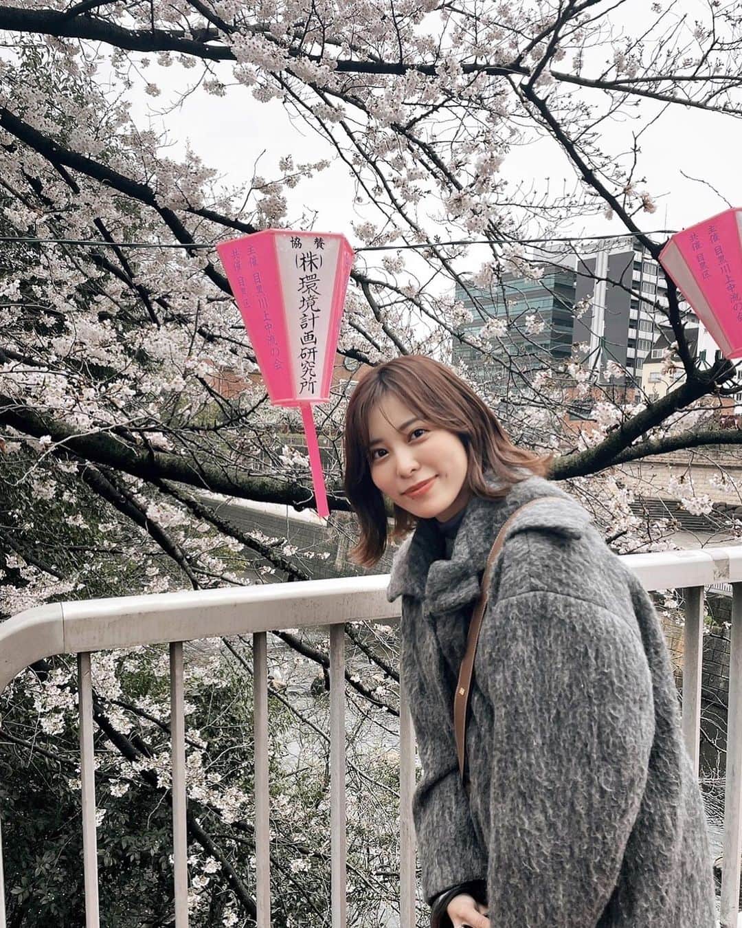 桃衣香帆さんのインスタグラム写真 - (桃衣香帆Instagram)「春っぽくない日にお花見しました。 そろそろ暖かくなってください」3月27日 17時00分 - momoikaho