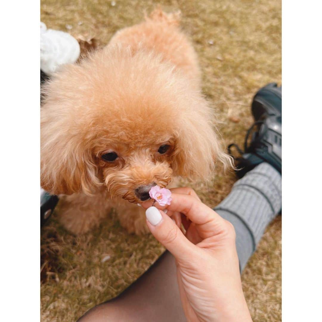 紗栄子のグルメインスタ