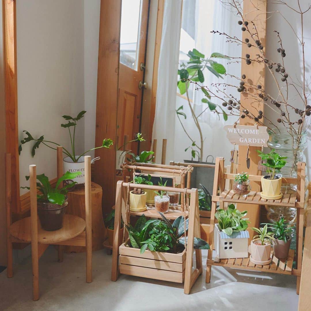 salut!のインスタグラム：「𖥧𖧧 ･･････ gardening shop ･･････ ⁡ ○アイテム¥550〜¥3850 ⁡ ※観葉植物は店舗限定アイテムとなります。 公式通販サイトではお取り扱いがございませんので 予めご了承くださいませ。 ⁡ ※ 札幌アピア店では現在、 観葉植物が凍傷になる恐れがあるため入荷がございません。 現在、4月中旬以降入荷を予定しております。 入荷状況が遅れることもございますので、予めご了承くださいませ。 ⁡ ･･････ ⁡ 植物が育てやすい季節がやってきましたね𓇢 ⁡ salut!では観葉植物を飾れるラックや ポットなどガーデンアイテムが入荷◌ ⁡ どれもお部屋に取り入れやすいサイズ感で 観葉植物以外にも、ディスプレイラックとして 使えるものもございます⸜꙳⸝ ⁡ ─────────── ⁡ ⁡ 公式通販サイトは @salut_shop ꙳トップページURLよりご確認下さいませ𓍯 ⁡ ⁡ ─────────── 店舗により在庫状況が異なります。 一部店舗の営業時間等が異なる場合がございます。 予め各館のHP等をお確かめくださいませ。 ご不便をお掛けして申し訳ございませんが 予めご了承くださいますようよろしくお願いします。 ─────────── ⁡ #サリュ #salut #まいにちインテリア #インテリア雑貨 #雑貨店 #雑貨屋 #観葉植物 #観葉植物のある暮らし  #観葉植物のある生活 #観葉植物インテリア  #ガーデニング #ガーデニング初心者 #植木鉢 #ポット #グリーンのある暮らし  #グリーンのある生活 #マルシェ #ディスプレイ」