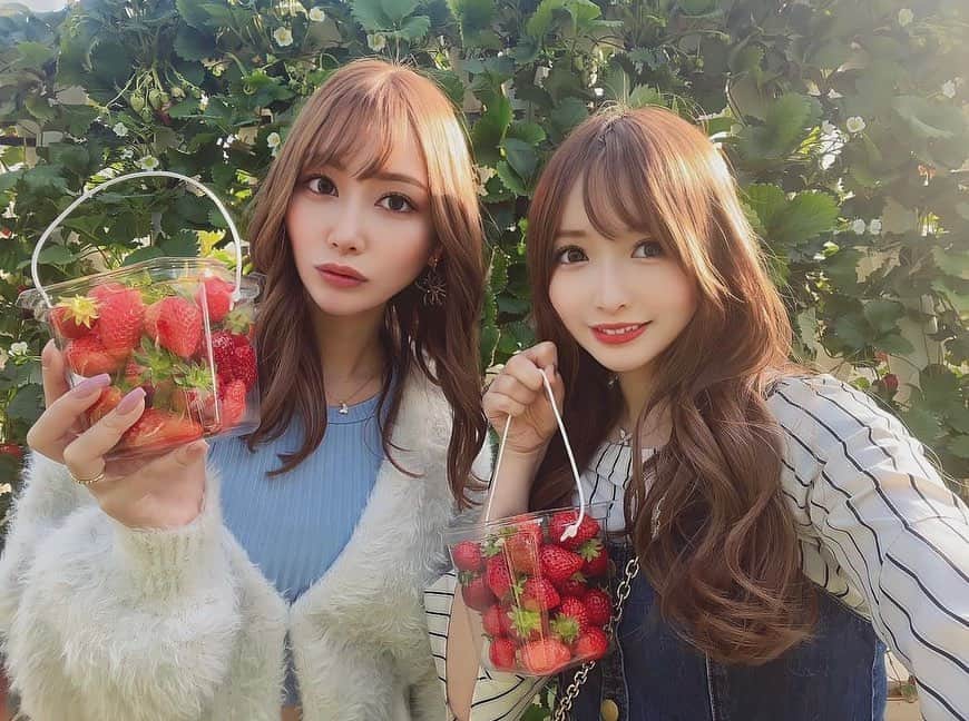 のインスタグラム：「来月のお出かけもたのしみ🥰🫶🏻  #新宿 #歌舞伎町 #六本木 #北新地 #大阪ミナミ #すすきの #中洲 #銀座 #キャバ嬢 #キャバクラ #kabukicho #japanesegirl #kawaiigirl #点赞 #关注 #评论 #可爱 #マザー牧場 #いちご狩り #いちご #noela #rirandture #春コーデ #春服」