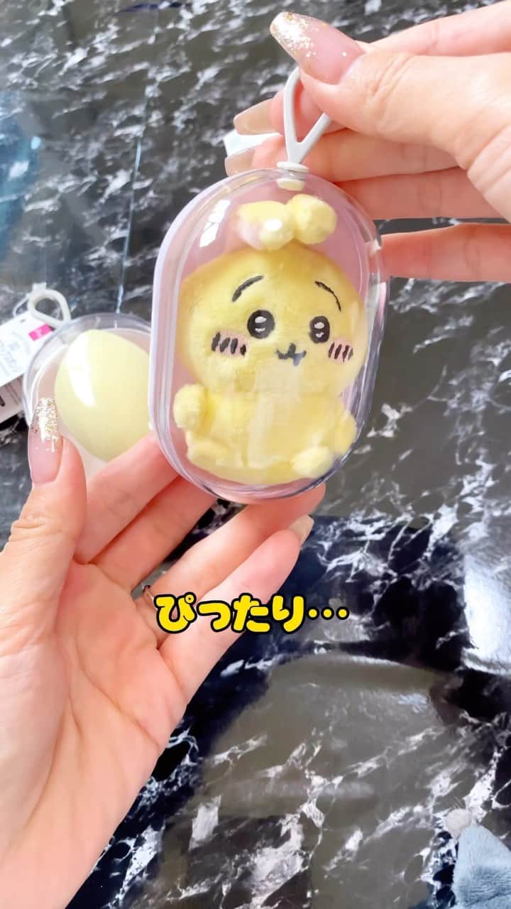 太陽チャンネルのインスタグラム：「ちいかわを幽閉。  #ちいかわ #幽閉 #ダイソー #diy #100均 #かわいい」
