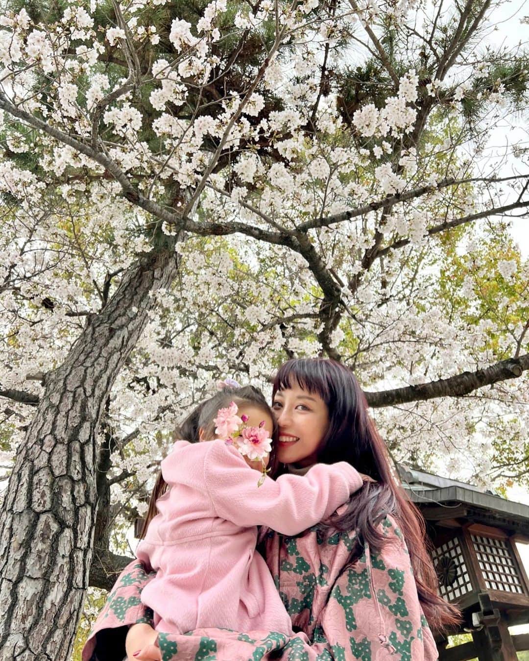 PINKYのインスタグラム：「今年の桜、間に合った🌸  ・・・・・・・  #love #happy #family #momlife #桜 #2023」