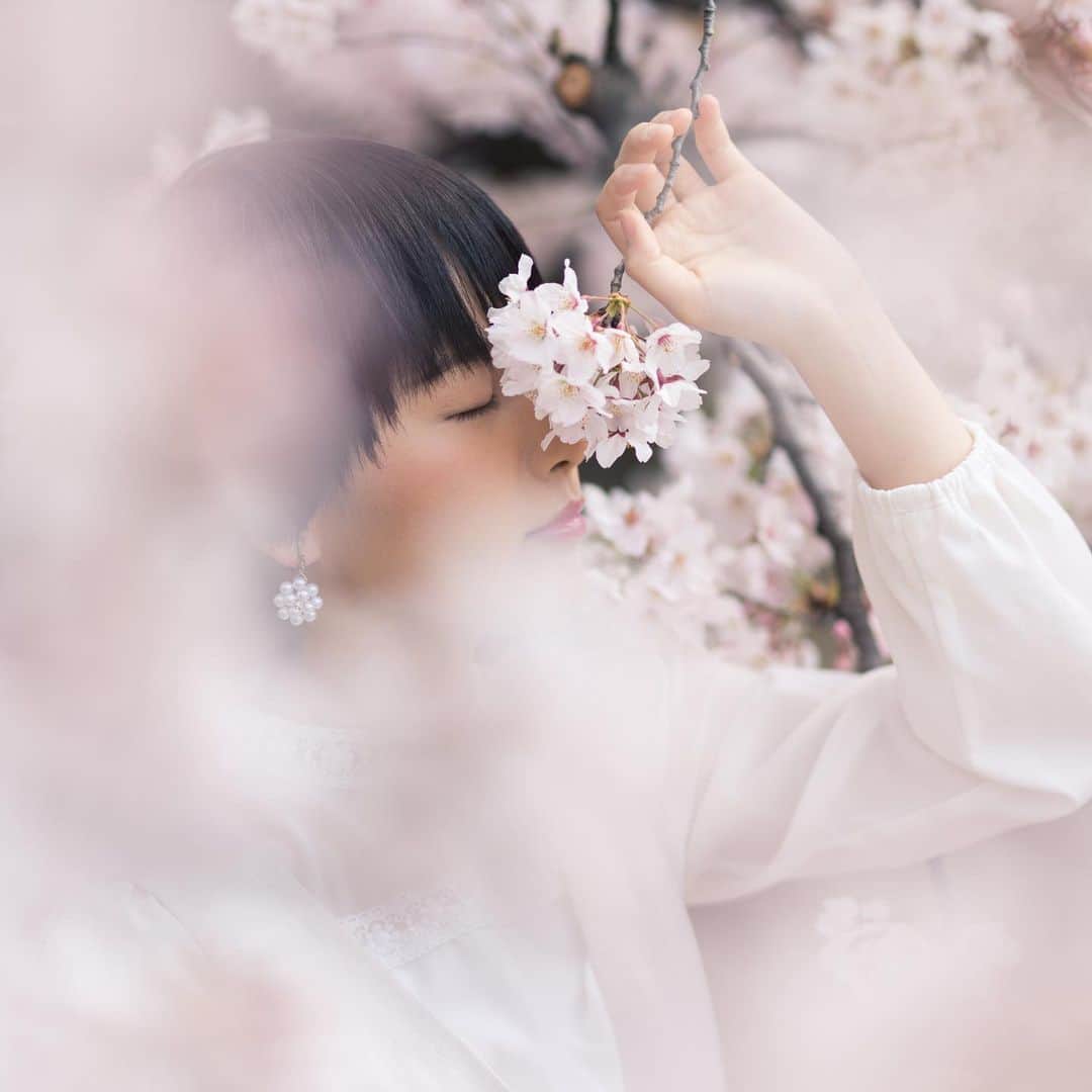 向井藍さんのインスタグラム写真 - (向井藍Instagram)「こつん。🌸  #桜 #sakura」3月27日 18時37分 - muuchan1024