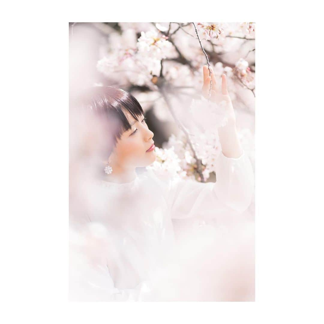 向井藍のインスタグラム：「こつん。🌸  #桜 #sakura」