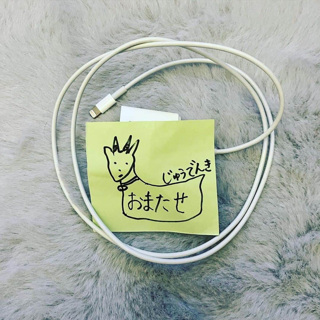 新居昭乃のインスタグラム：「タカシくんちに忘れてきちゃった充電器、ハナコちゃんに送ってもらった🐐💕  #軌跡を残すタイプ」