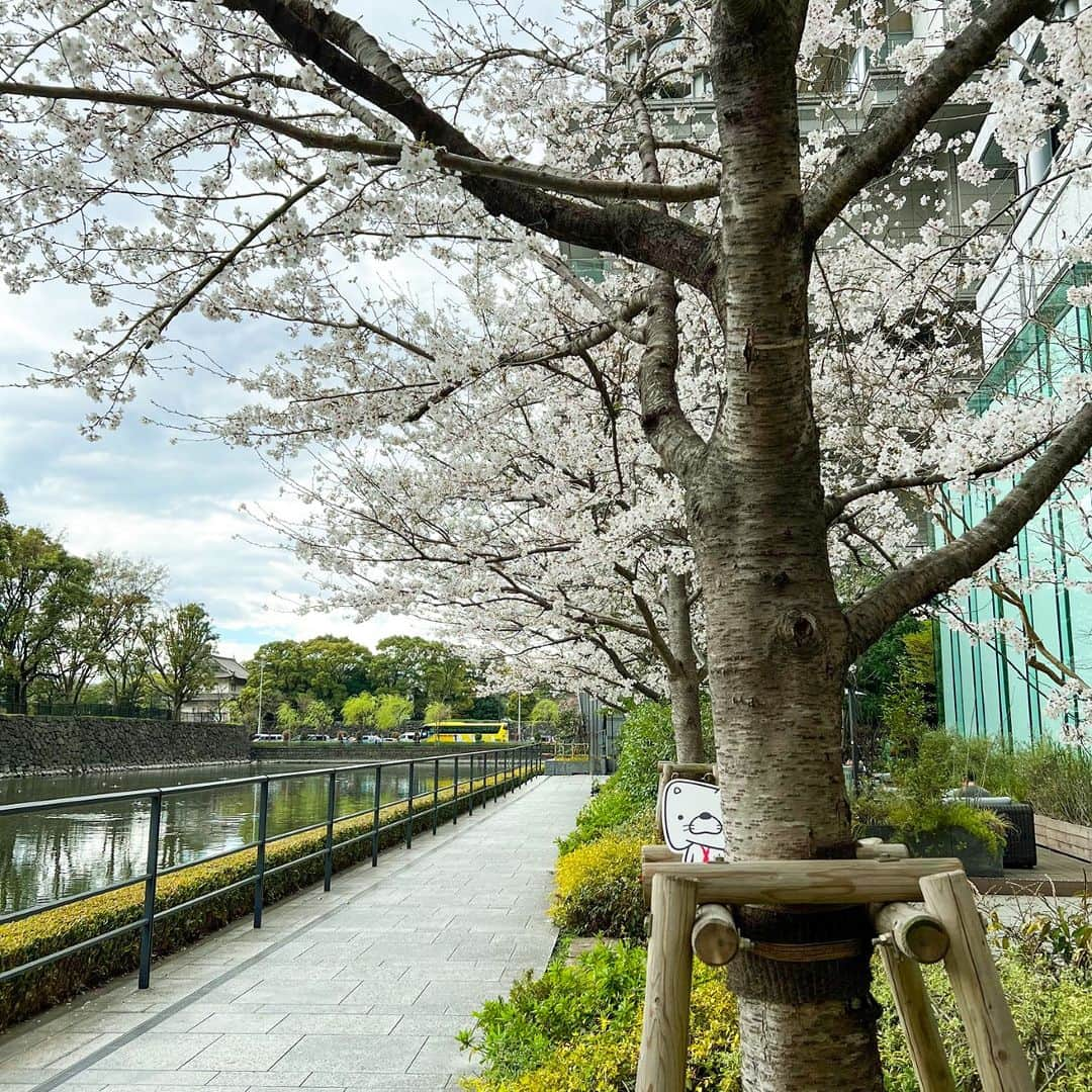 日本生命保険相互会社のインスタグラム