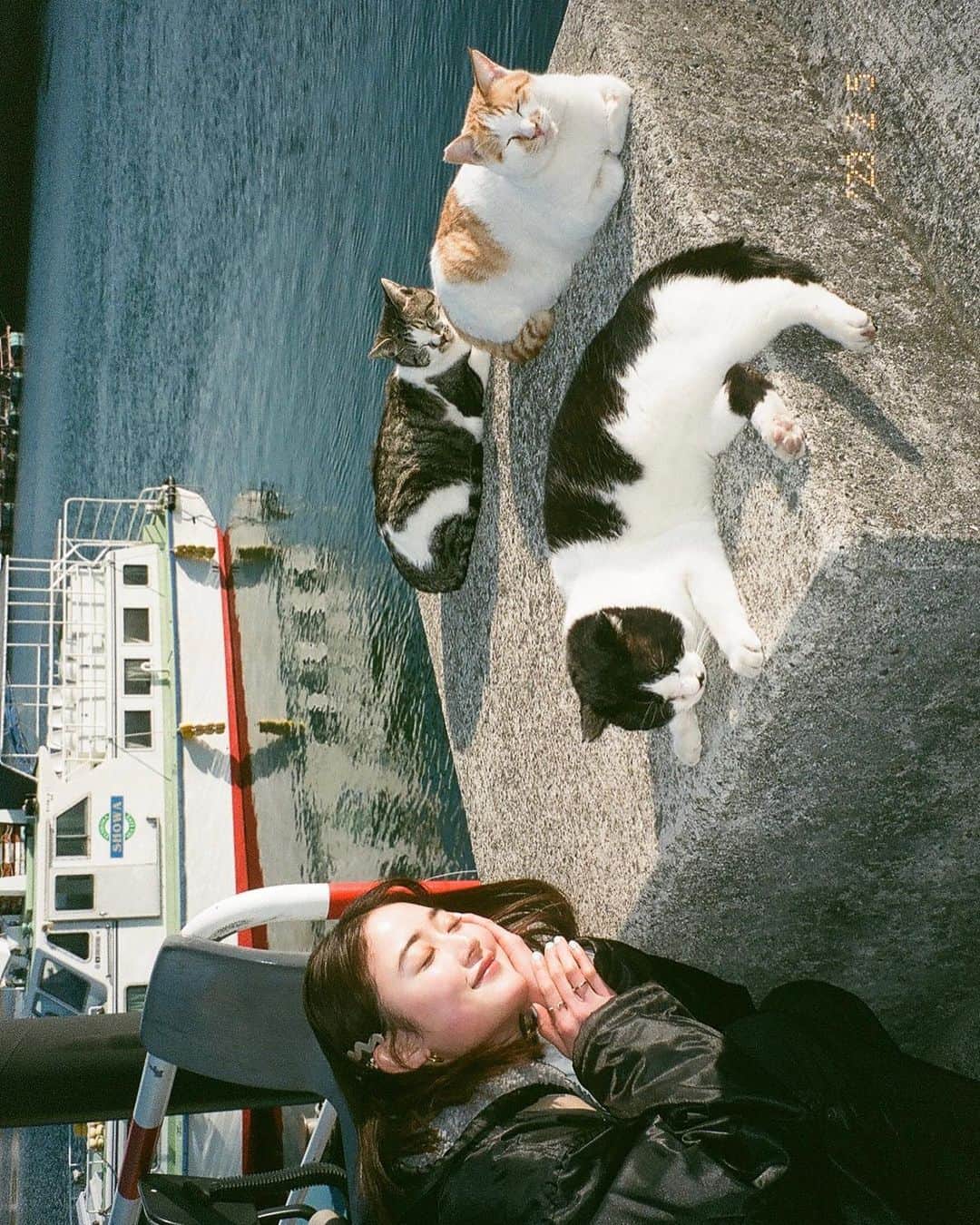 椎名美月さんのインスタグラム写真 - (椎名美月Instagram)「・ 🎂🐈🇻🇳✈️🤍  現像するまで上手く撮れているか分からないからドキドキ。今回はラブな人たちがとってもよく撮れていました💮❣️（風景は未だむずかしい）」3月27日 19時28分 - mitsuki__shiina