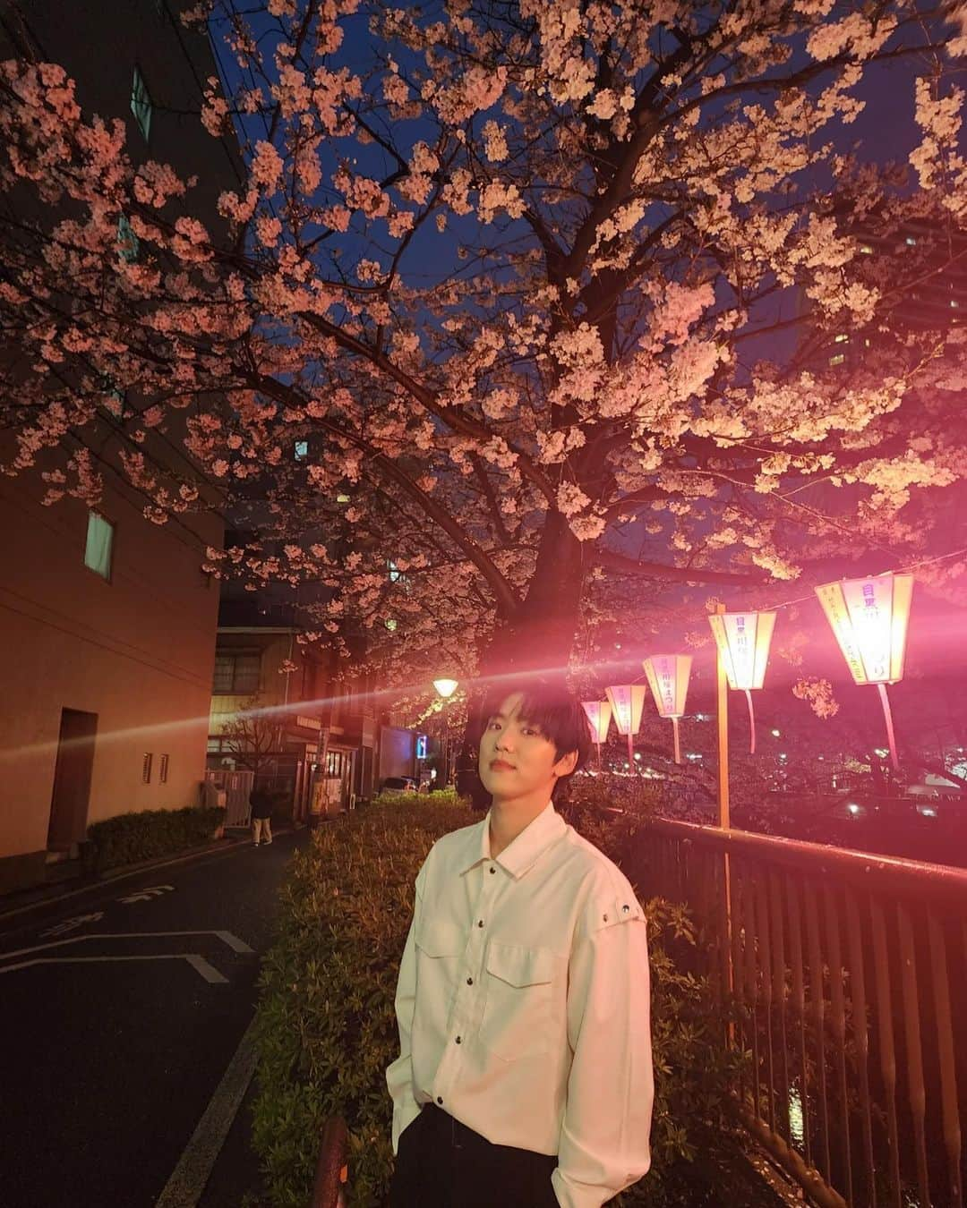 ジョンファンさんのインスタグラム写真 - (ジョンファンInstagram)「🌸🎇」3月27日 19時23分 - jonghwaan