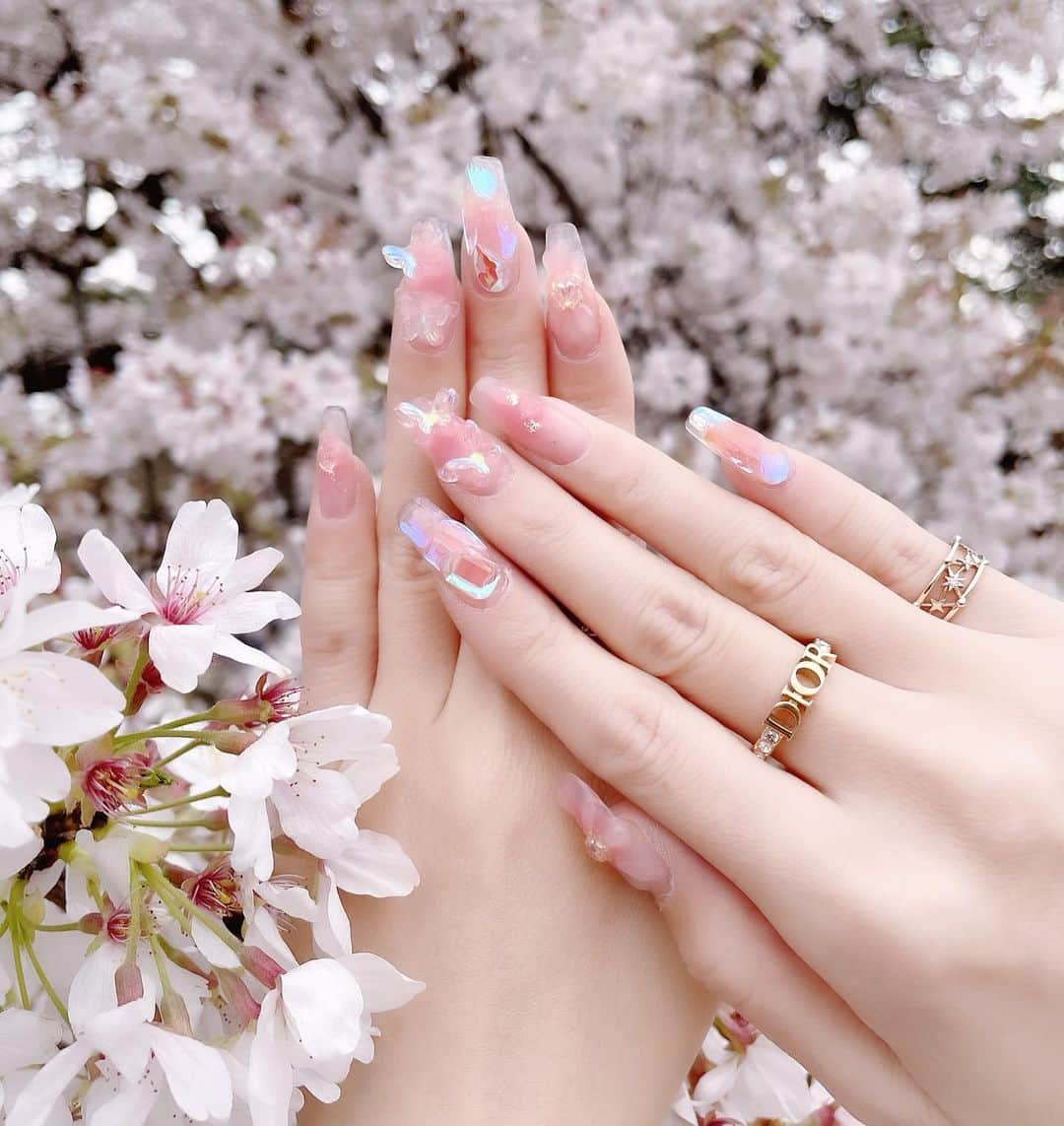 桜井莉菜さんのインスタグラム写真 - (桜井莉菜Instagram)「4月に向けて💕 春ネイル🌸💅🌸 蝶も4匹とまってるの🦋💕 桜とピッタリで可愛すぎる🥺💗 【 @wiznail_0502 】はもう安心して任せられるから素敵💓 いつも可愛いネイルにしてくれて有難い🙏🫣💗  #ネイル#春ネイル#桜#桜ネイル#ピンクネイル#nail#pink#pinknails#wiz#新宿ネイル」3月27日 19時28分 - rina__sakurai