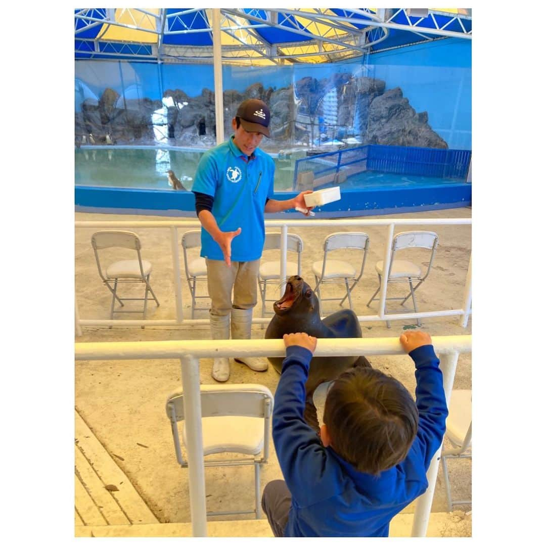 去来川奈央さんのインスタグラム写真 - (去来川奈央Instagram)「. 四国 香川の #新屋島水族館 🐠  信じられないほどの至近距離で #マナティ や#ペンギン 🐧 #イルカ のショー は砂かぶりならぬ 水かぶり席🐬 (サッと逃げる周りの子どもたちの中、息子だけが残りずぶ濡れ😂) イルカのエサやりまで体験🥹✨   #アシカ は館内をお散歩🚶して 手が届きそうな距離で芸を披露🦭 飼育員のお兄さんがフレンドリーに息子いじってくれるのも推せる🤣🫶  屋島のてっぺんからは #鬼ヶ島 が目の前に見える！👹🍑  #香川 #香川旅行 #水族館 #aquarium #四国 #四国旅行 #屋島」3月27日 19時43分 - nao.isagawa