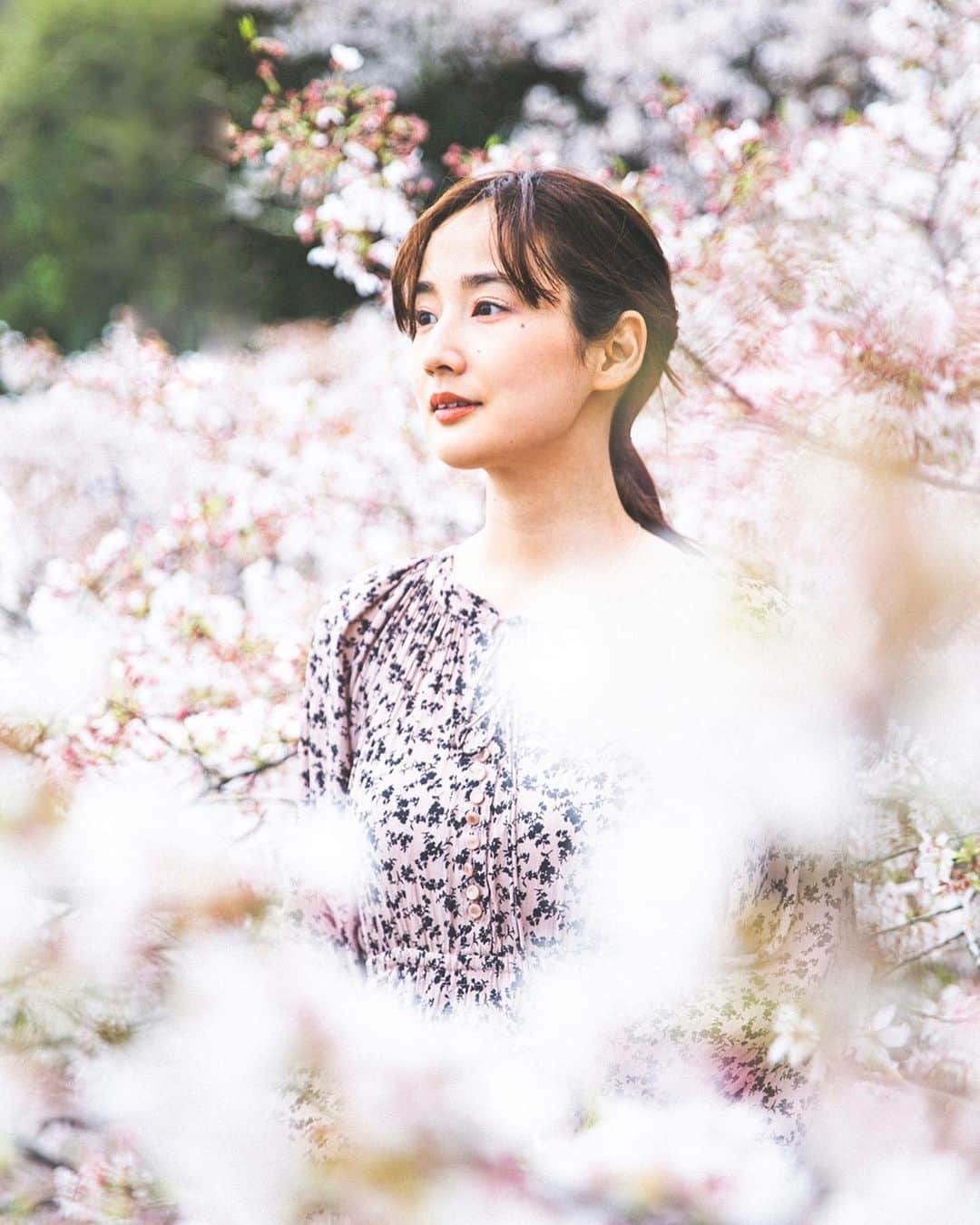 高嶋香帆さんのインスタグラム写真 - (高嶋香帆Instagram)「満開の桜を見ながらの散歩は一段と楽しいです。 皆様お花見はされましたでしょうか？🌸  カメラマンで同い歳のとよさん💁‍♀️ @toyoyoon  撮れたてほやほやのお写真です。 さすがお上手👏☺️」3月27日 19時45分 - kaho_takashima