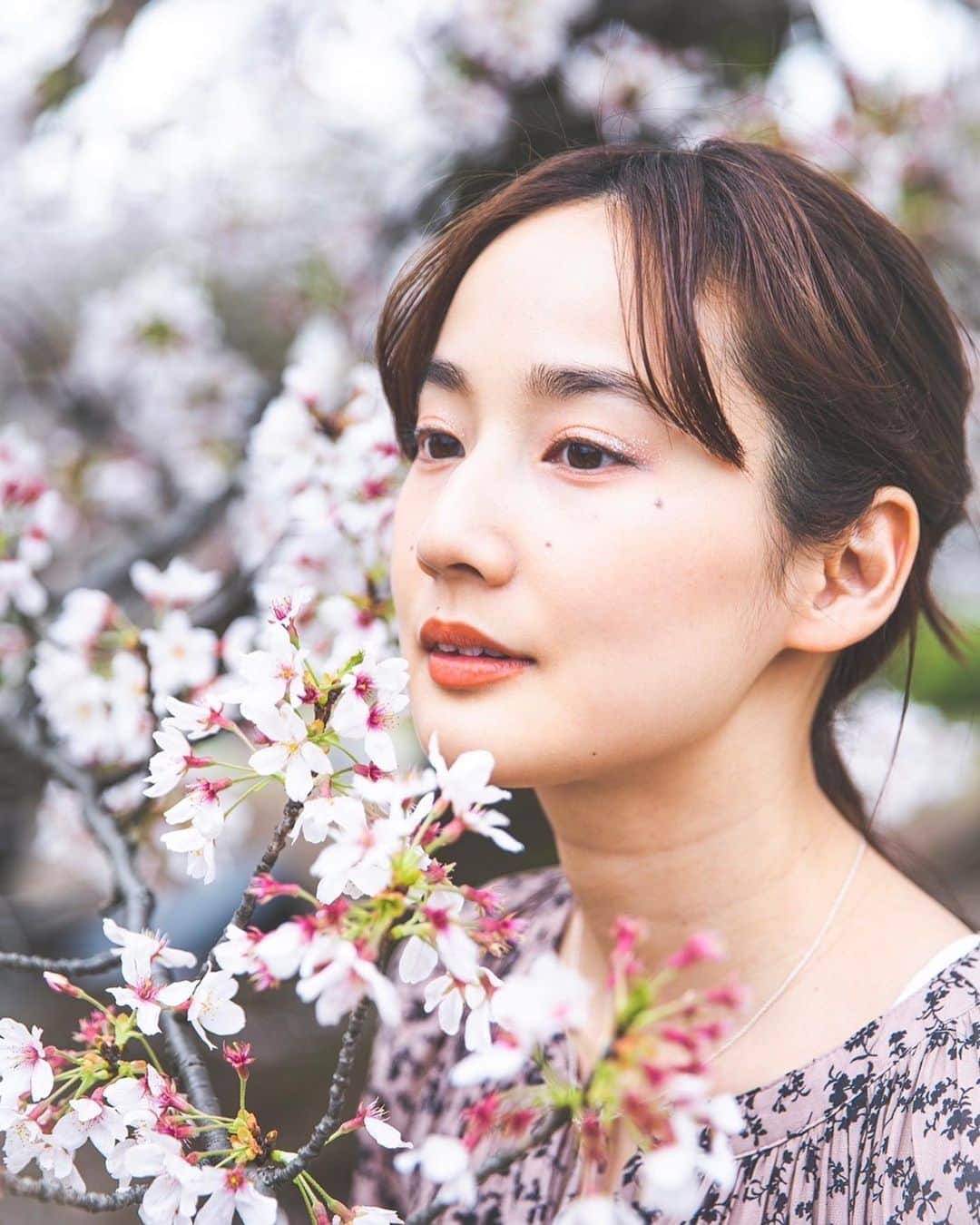 高嶋香帆のインスタグラム：「満開の桜を見ながらの散歩は一段と楽しいです。 皆様お花見はされましたでしょうか？🌸  カメラマンで同い歳のとよさん💁‍♀️ @toyoyoon  撮れたてほやほやのお写真です。 さすがお上手👏☺️」